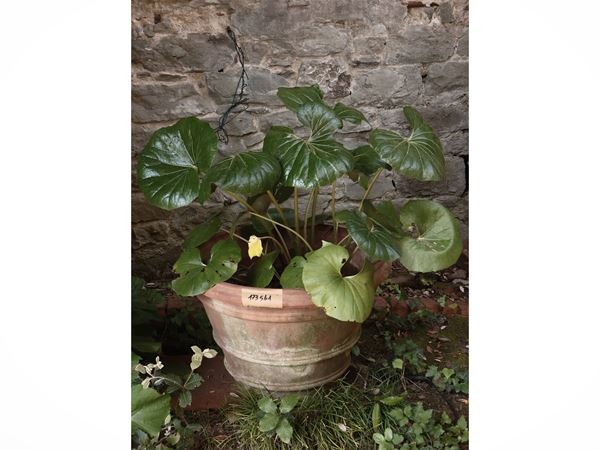 Vaso in terracotta