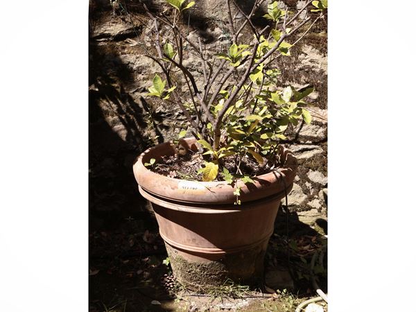 Vaso in terracotta