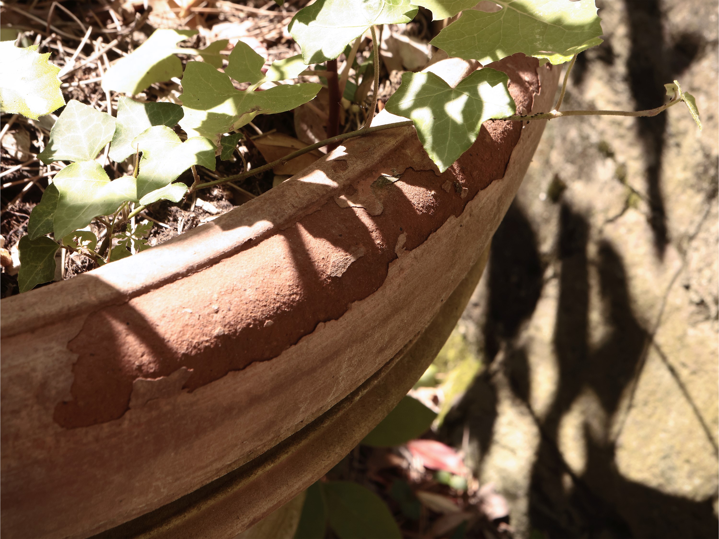Vaso in Terracotta