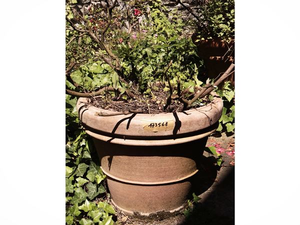 Vaso in terracotta di Galestro