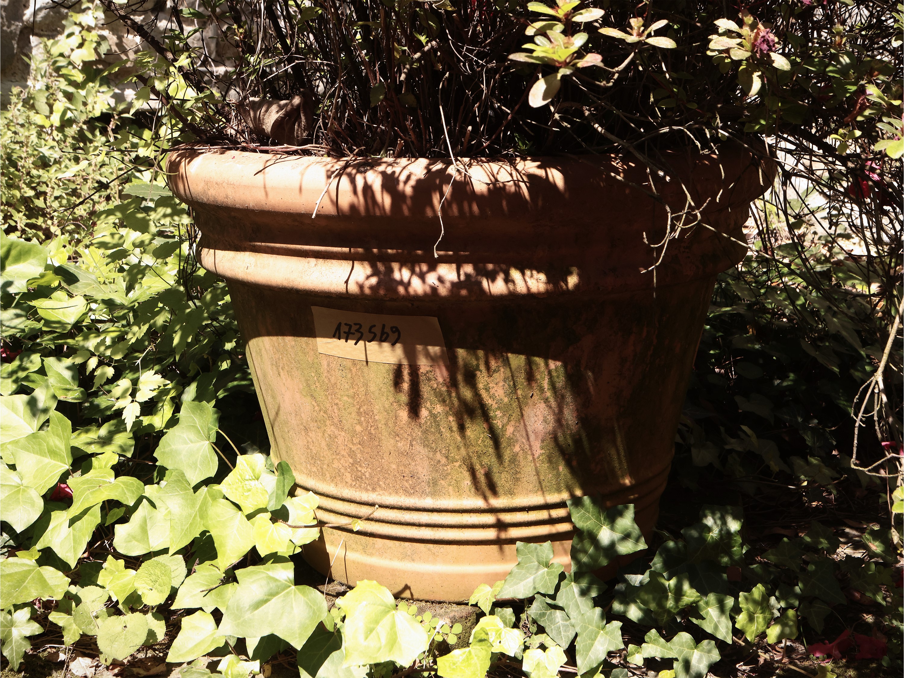 Vaso in Terracotta