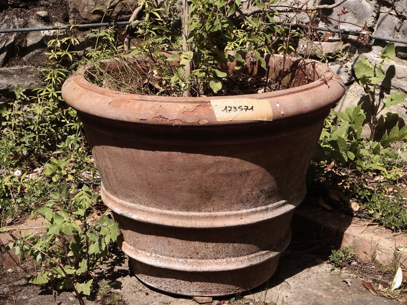 Grande Vaso in Terracotta di Galestro