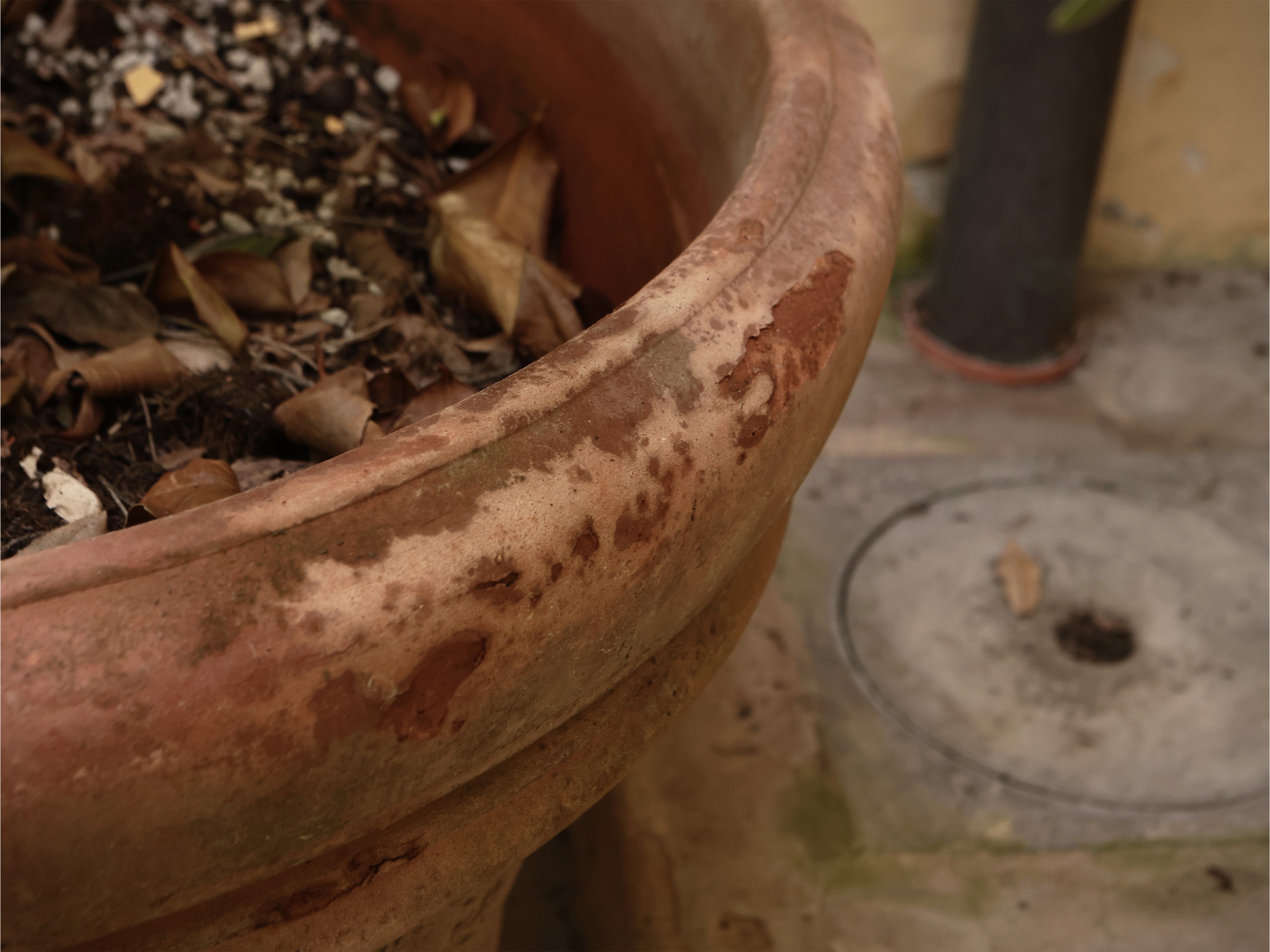 Vaso in Terracotta