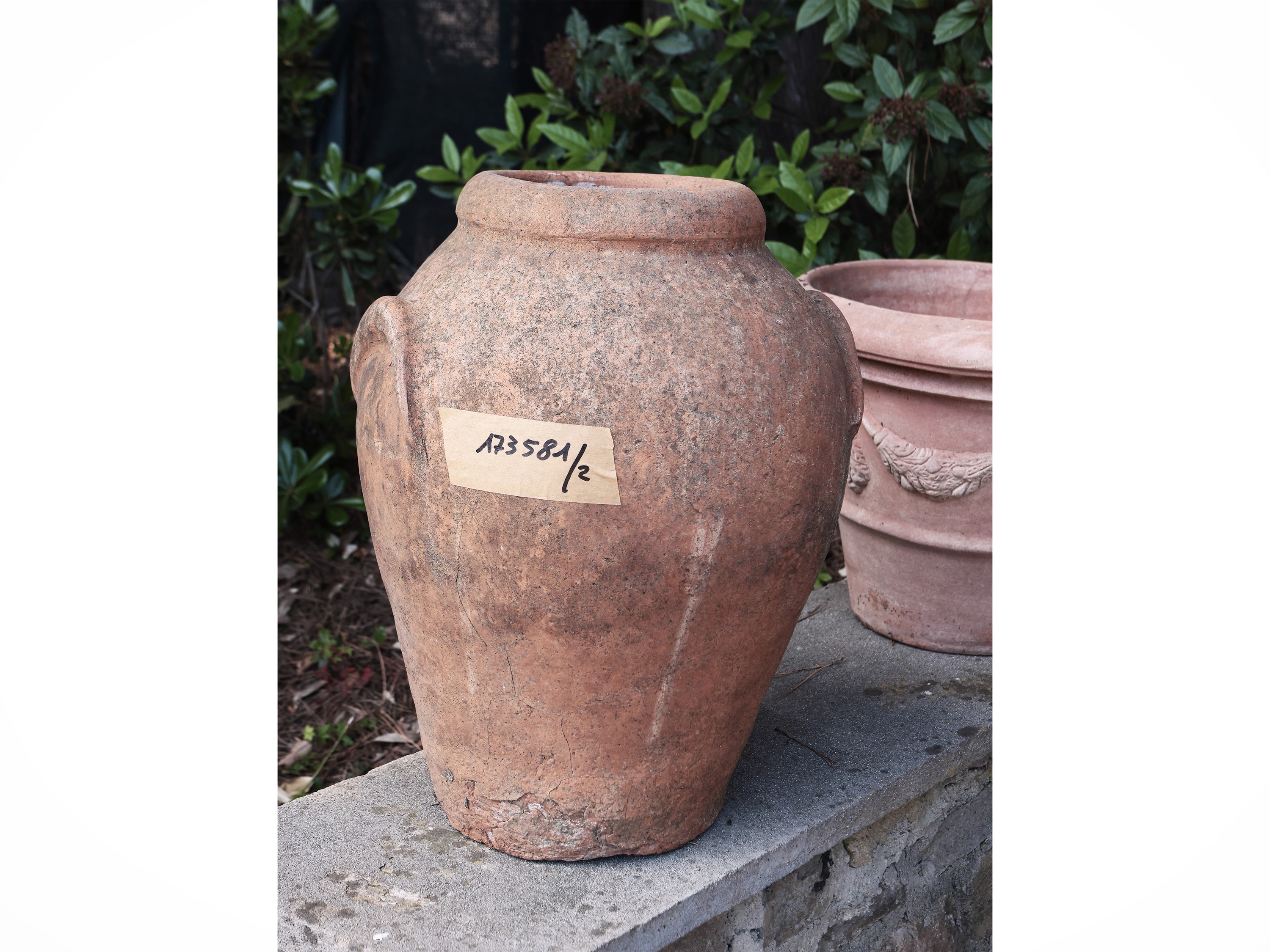 Vaso in Terracotta di Galestro