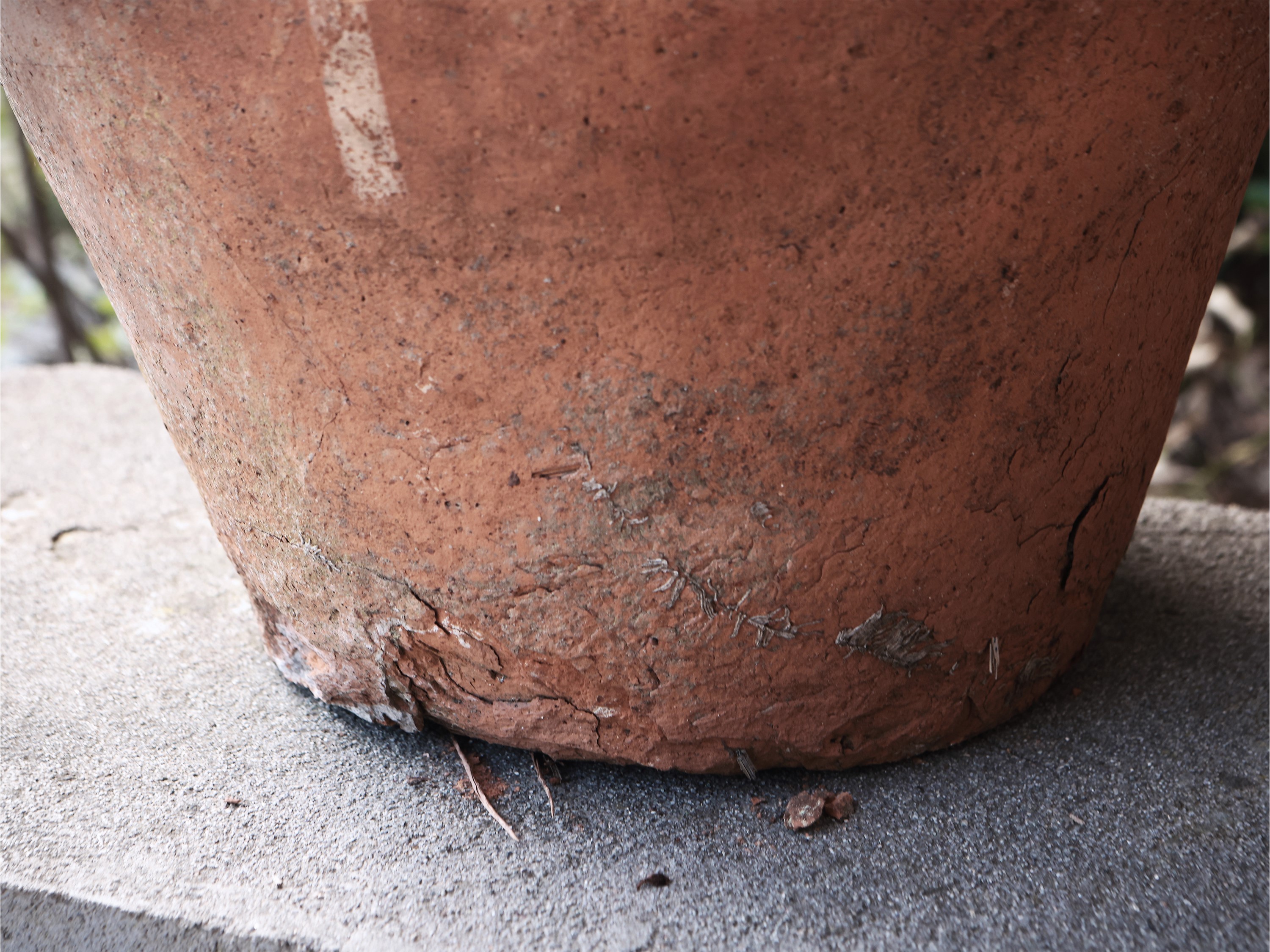 Vaso in Terracotta di Galestro