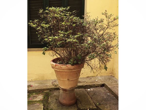 Grande vaso in terracotta