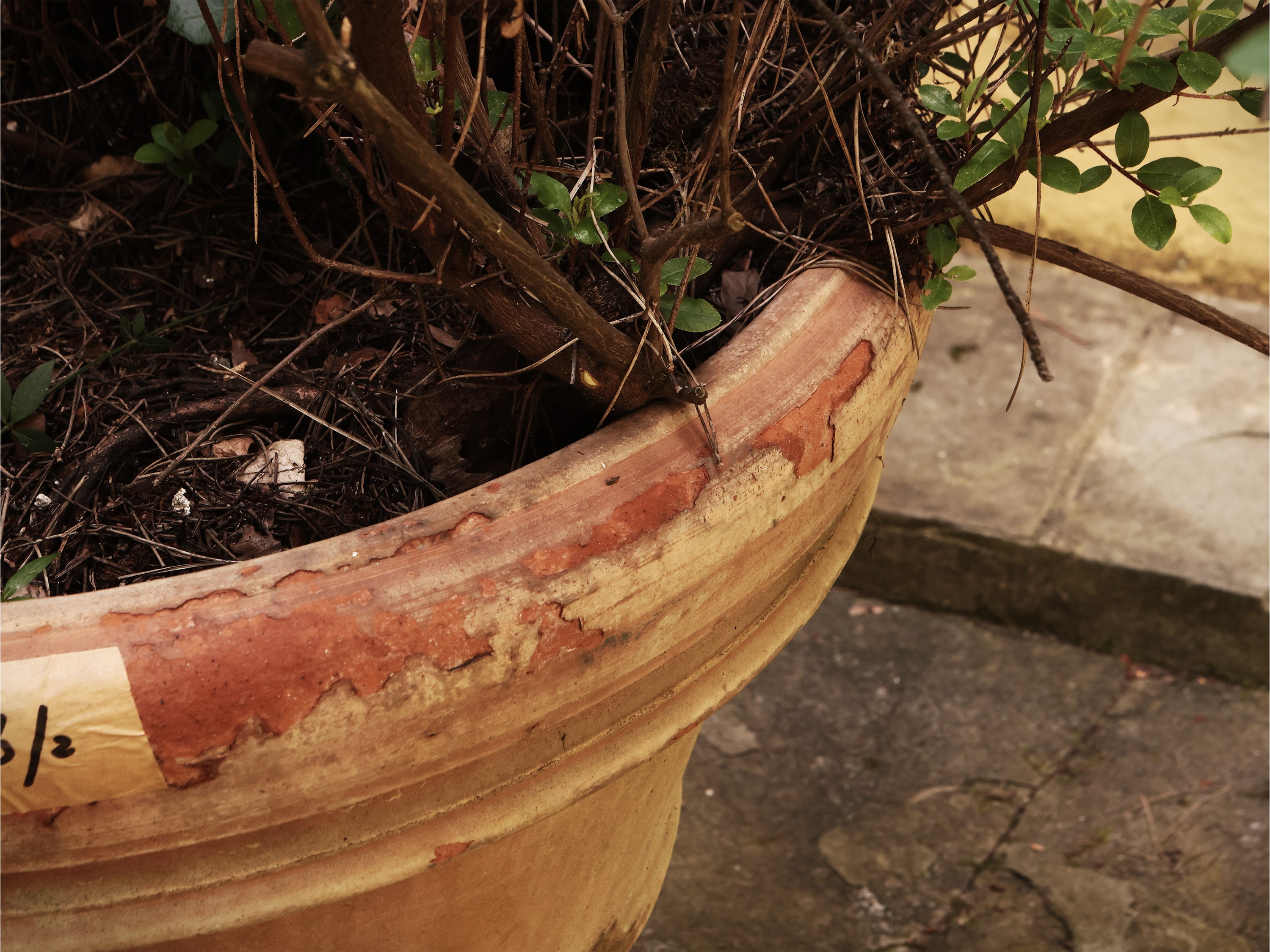 Grande Vaso in Terracotta