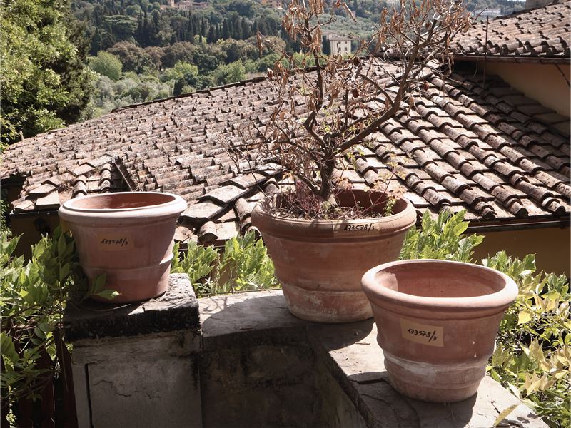 Tre Vasi in Terracotta di Galestro