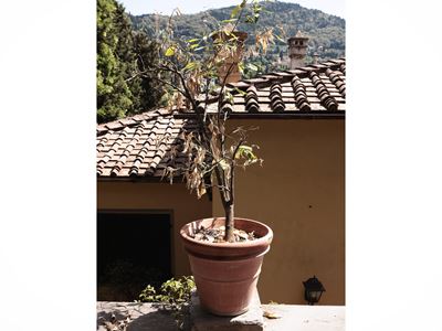 Vaso in Terracotta