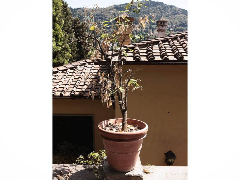 Vaso in Terracotta