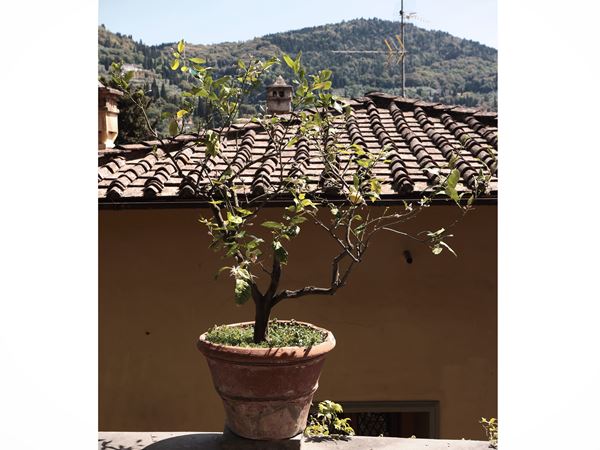 Vaso in terracotta d'epoca