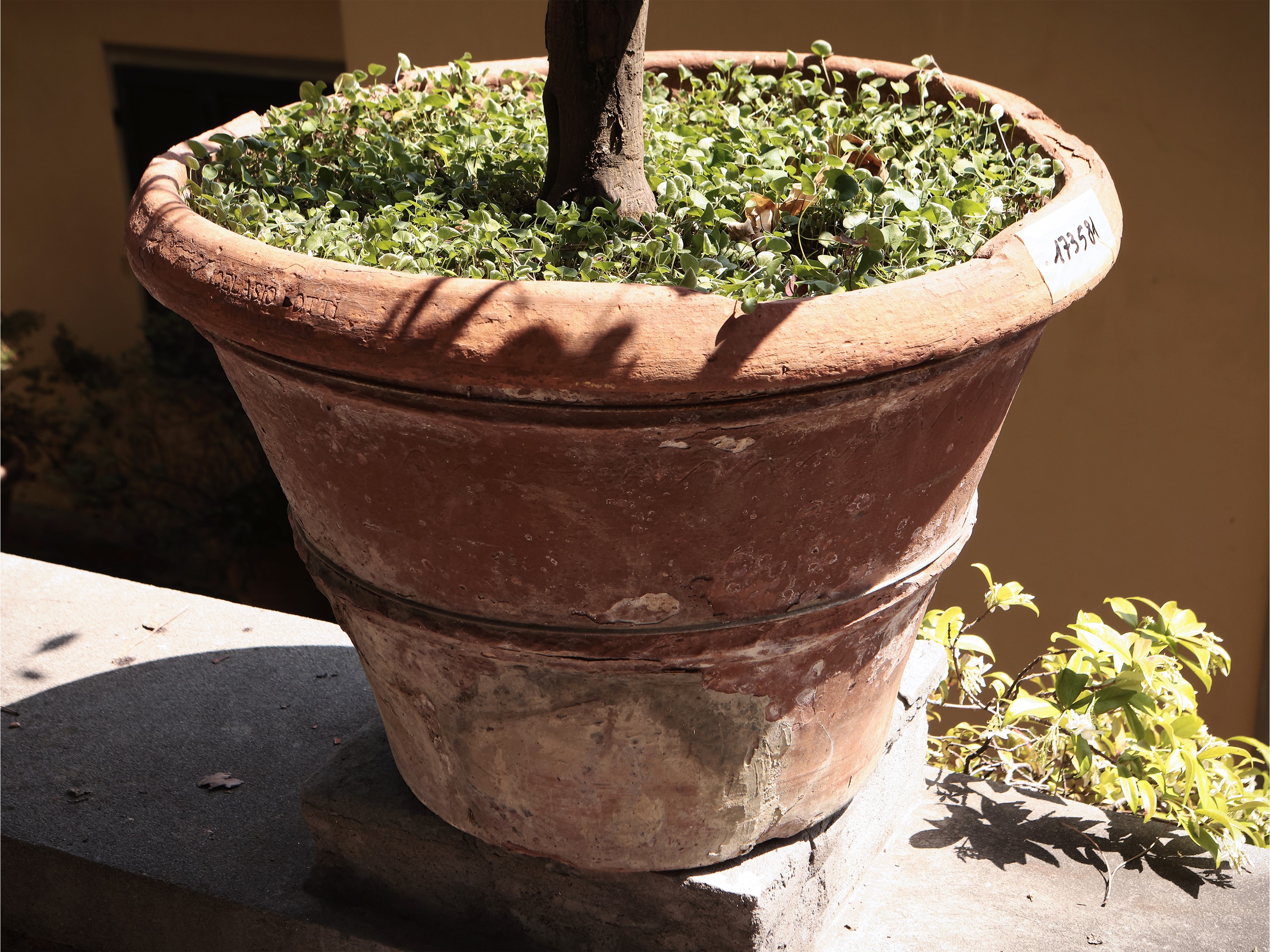 Vaso in Terracotta D'epoca