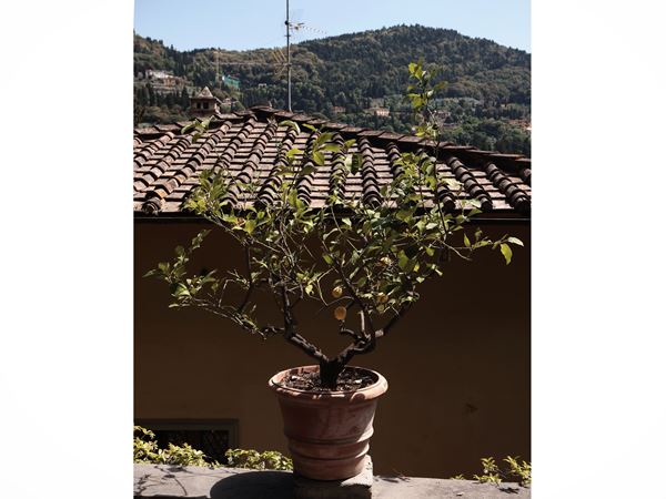 Vaso in terracotta di Galestro