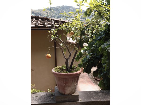 Grande vaso in terracotta