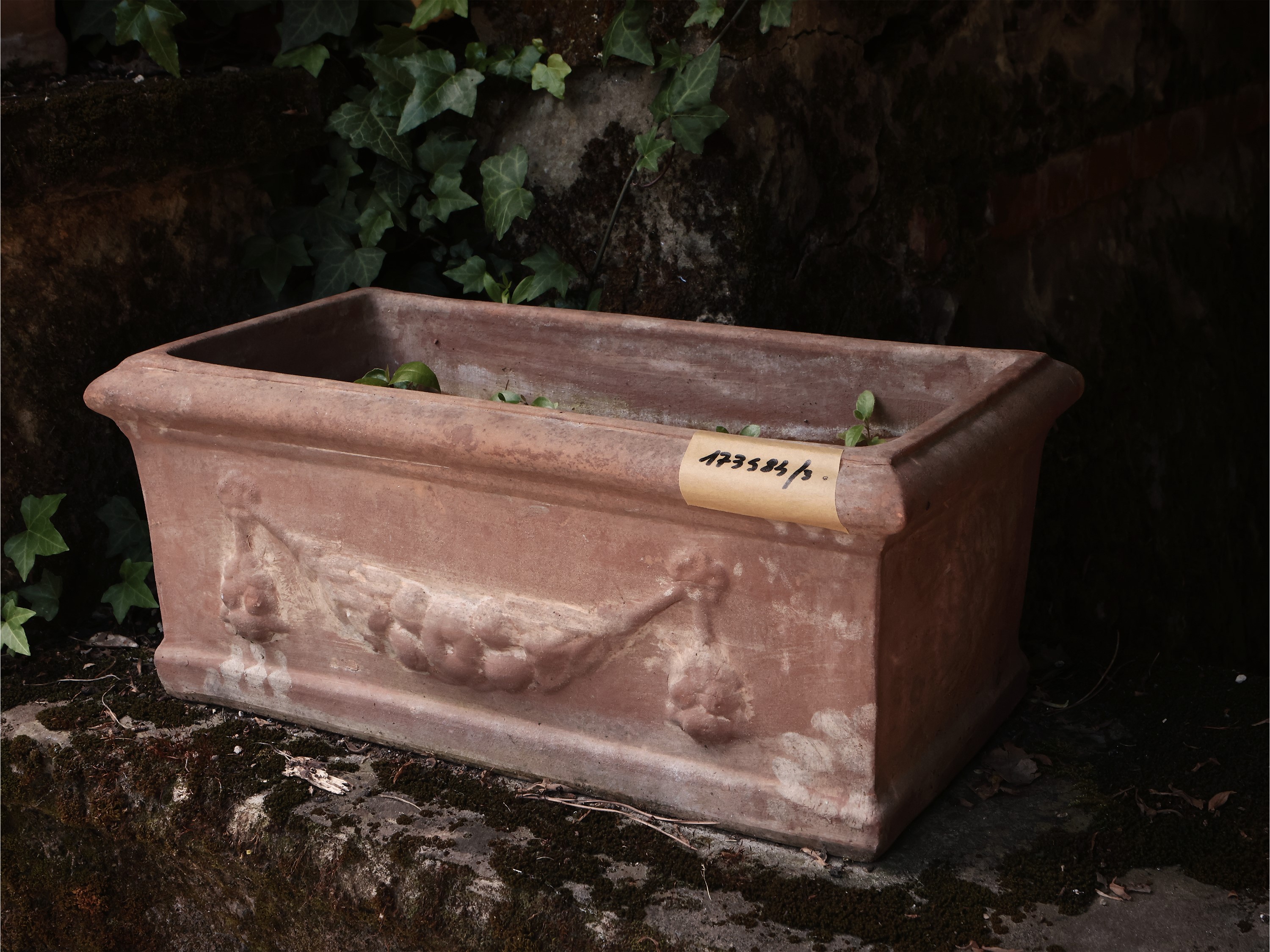 Tre Vasi a Cassetta in Terracotta di Galestro