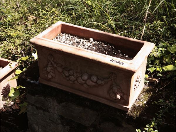 Tre vasi a cassetta in in terracotta di Galestro