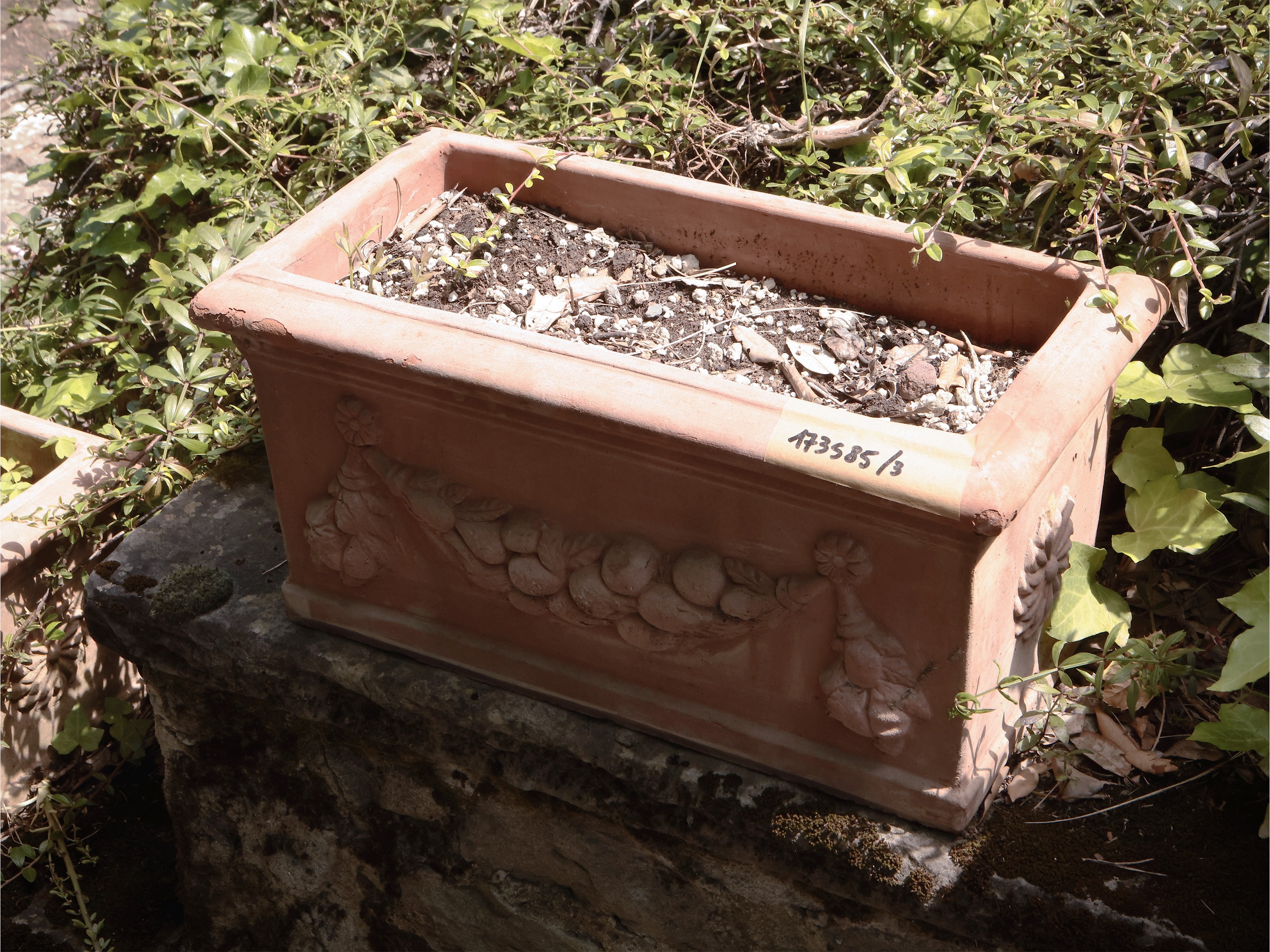 Tre Vasi a Cassetta in in Terracotta di Galestro