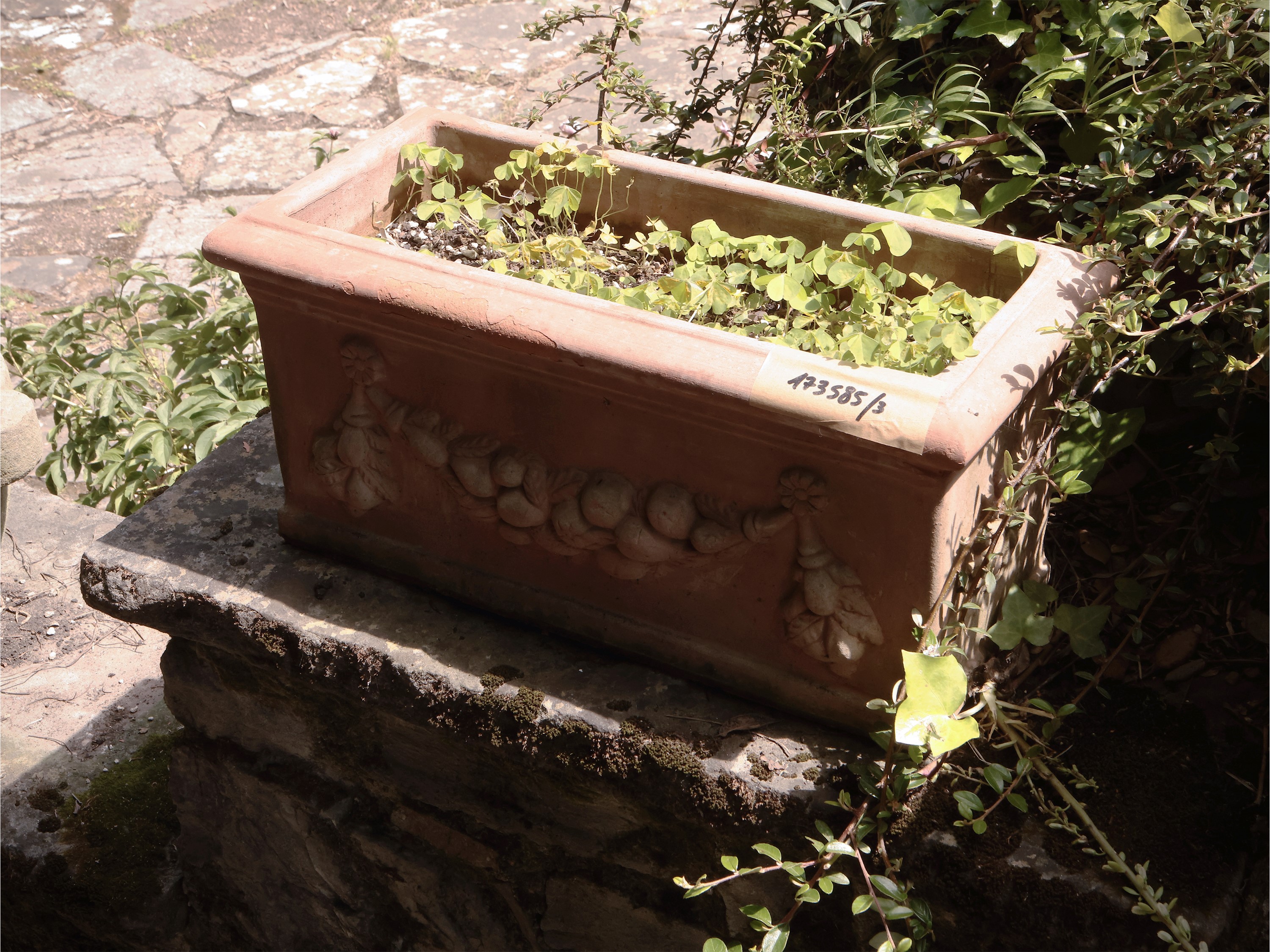 Tre Vasi a Cassetta in in Terracotta di Galestro