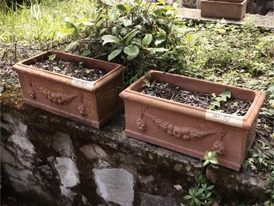Tre Vasi a Cassetta in Terracotta di Galestro