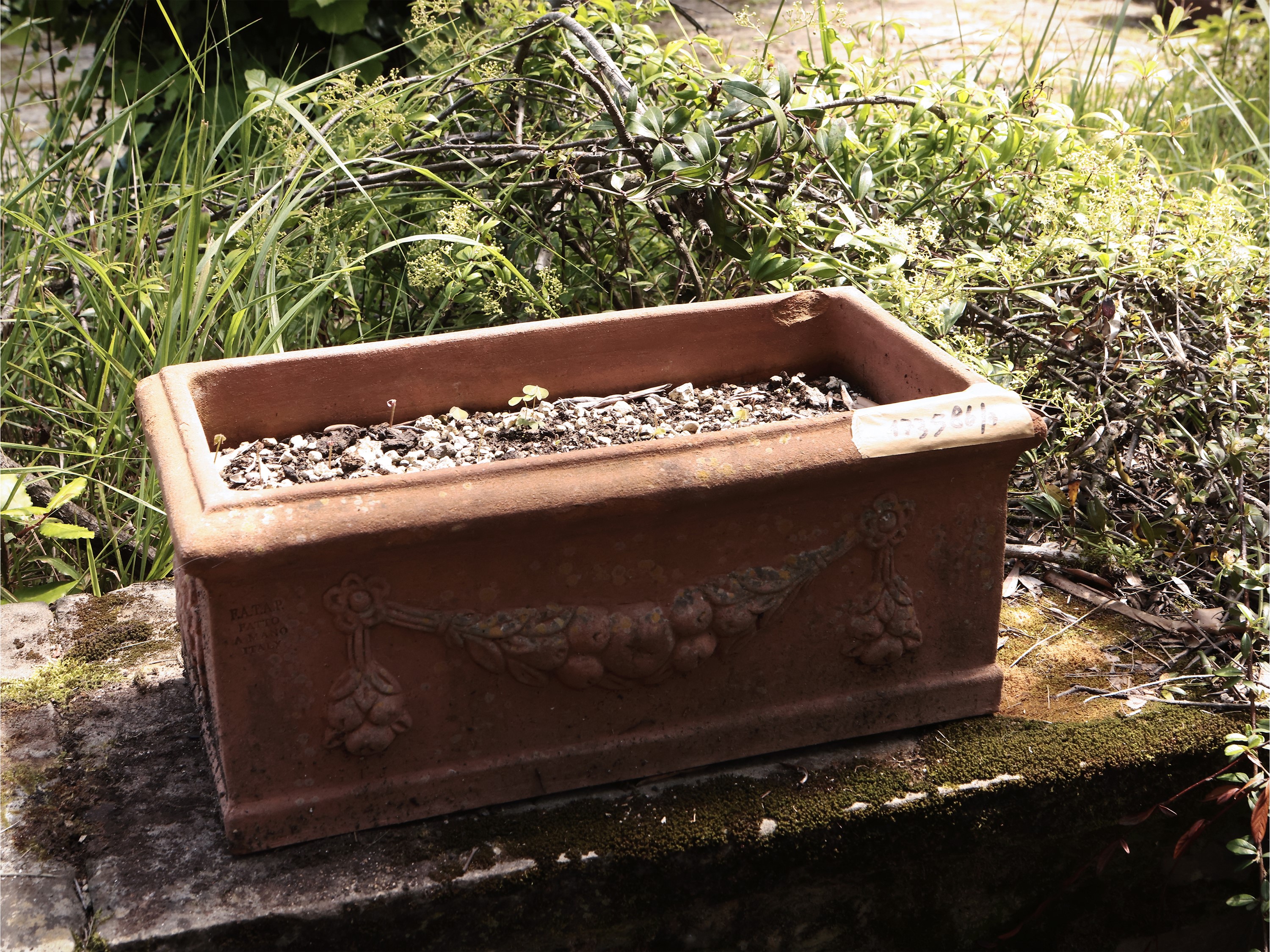 Tre Vasi a Cassetta in Terracotta di Galestro