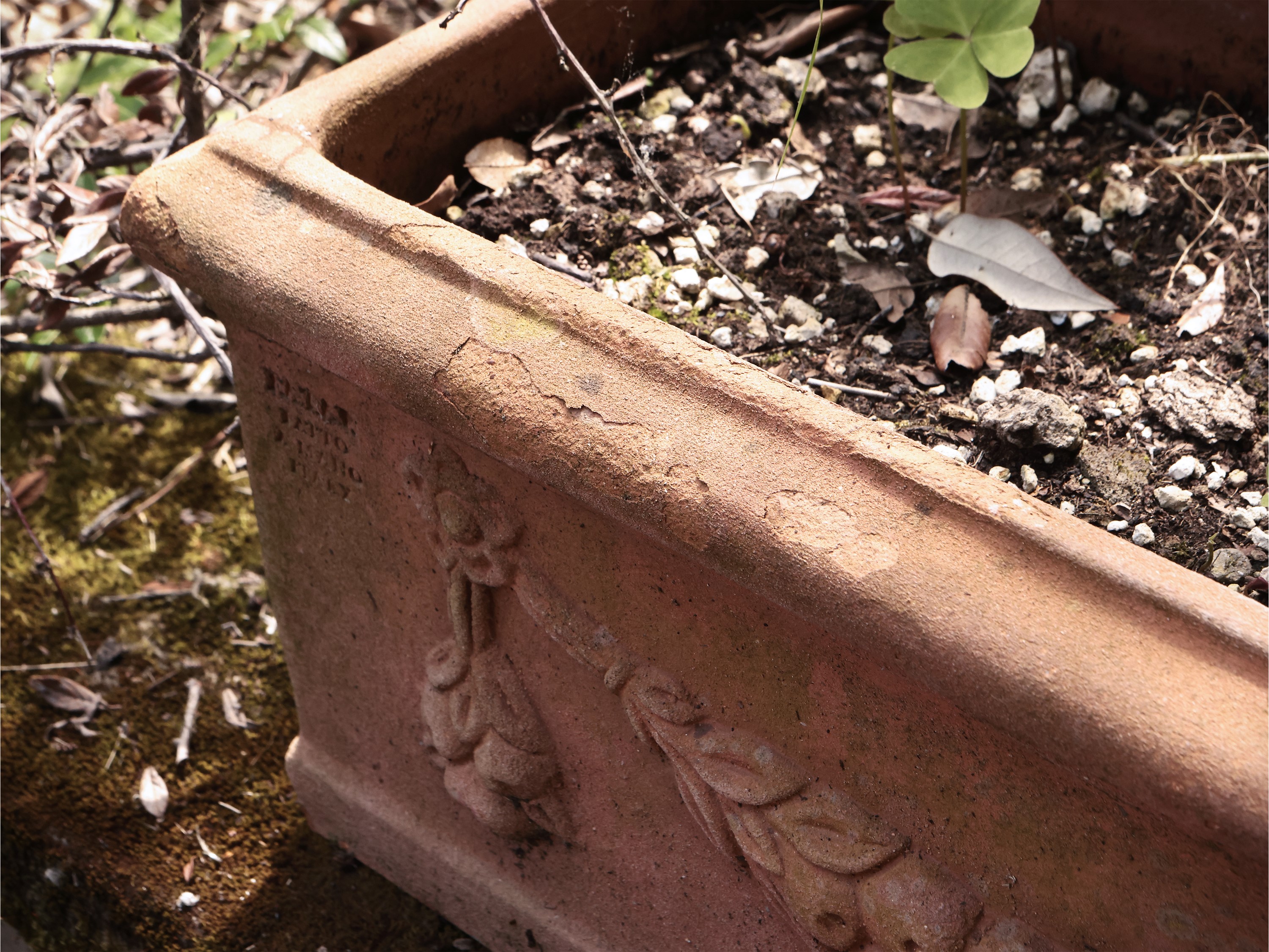 Tre Vasi a Cassetta in Terracotta di Galestro