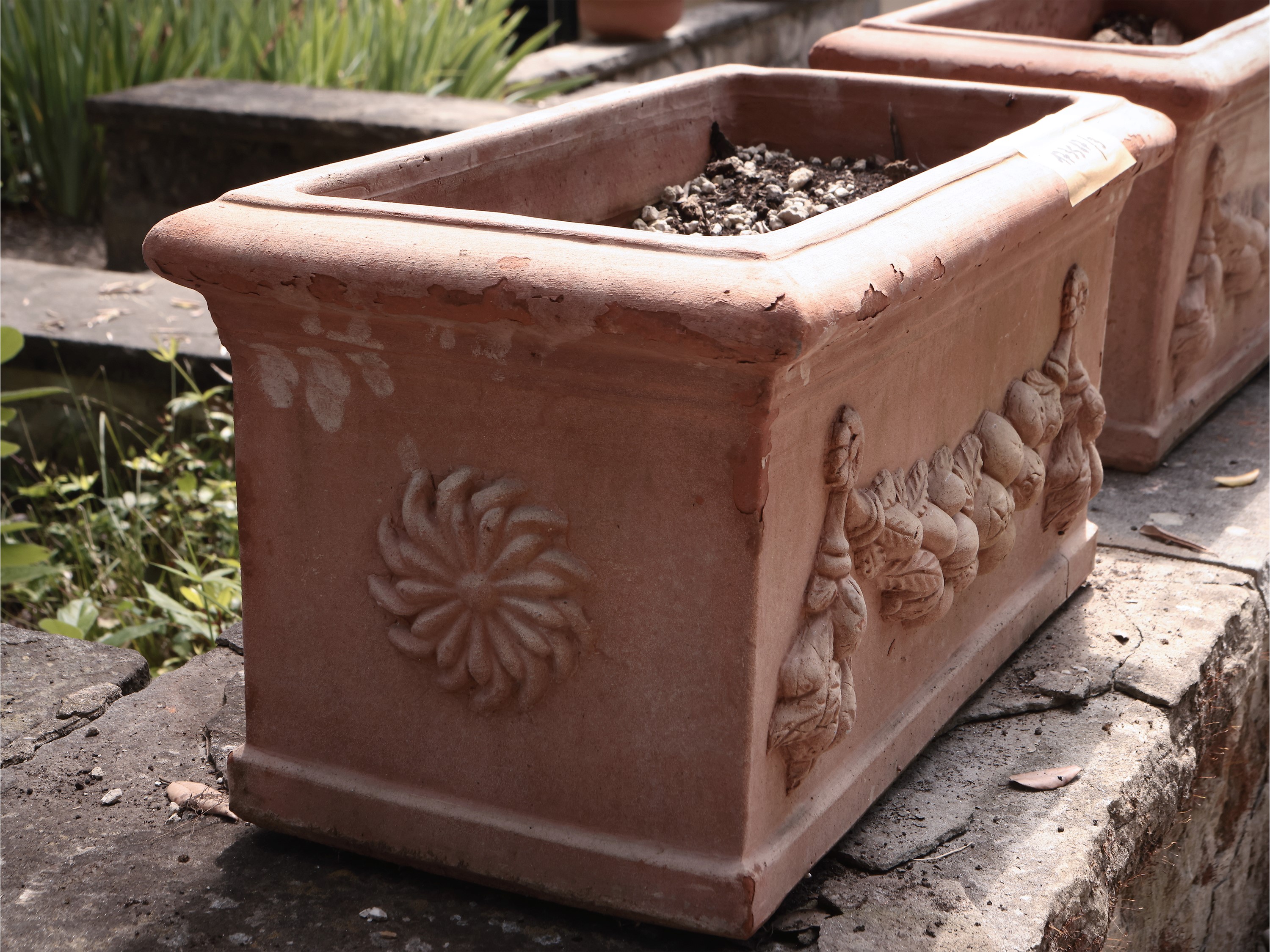 Tre Vasi a Cassetta in Terracotta di Galestro