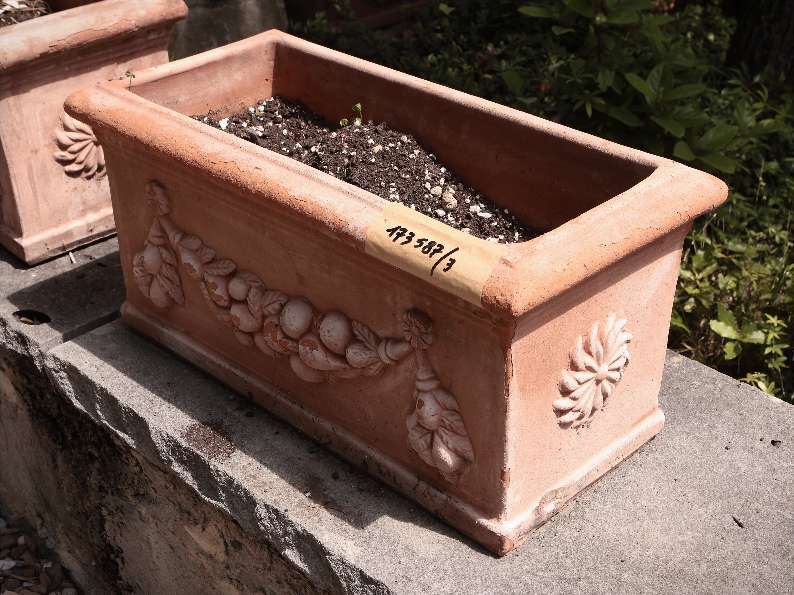 Tre Vasi a Cassetta in Terracotta di Galestro