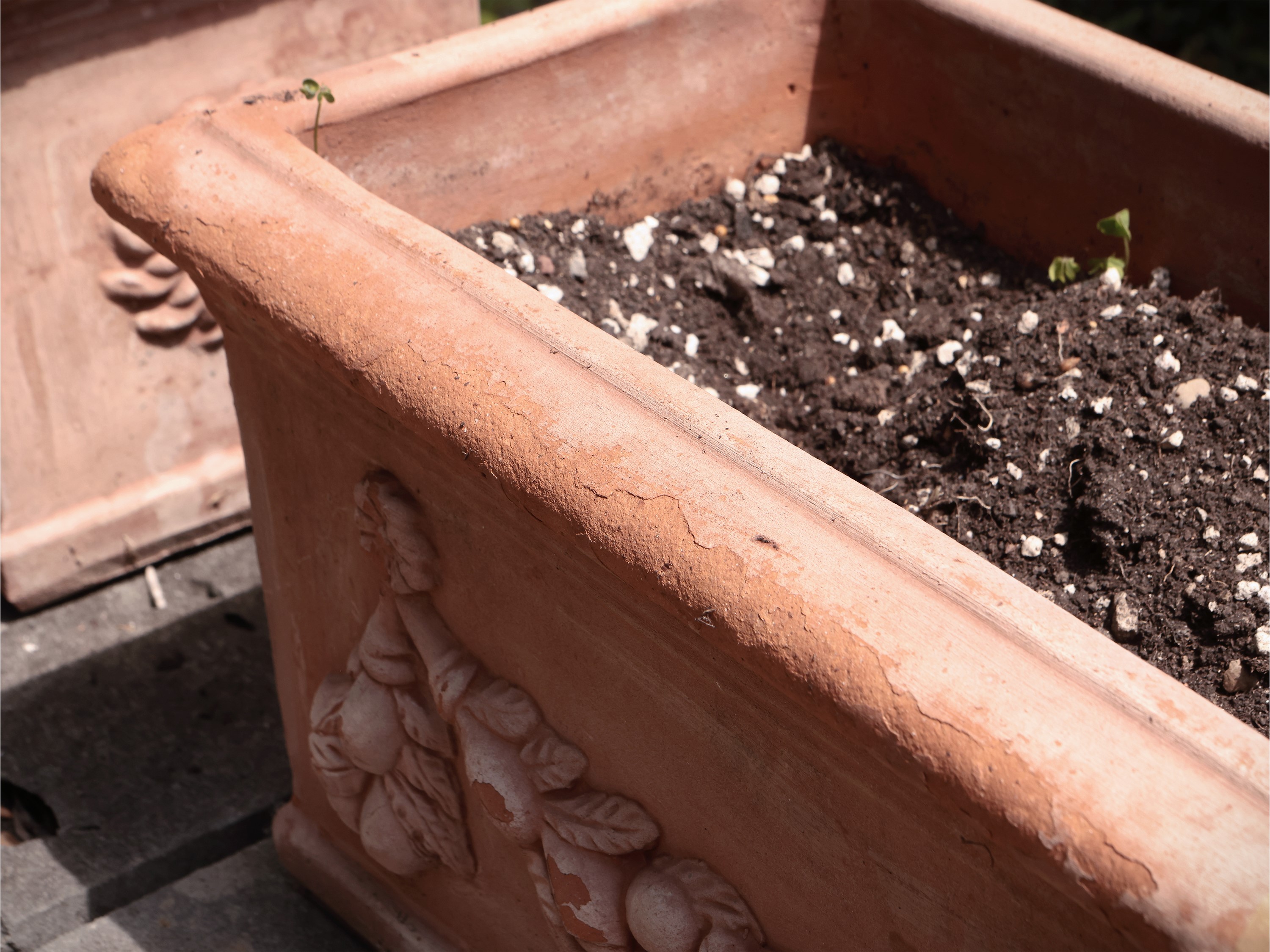 Tre Vasi a Cassetta in Terracotta di Galestro