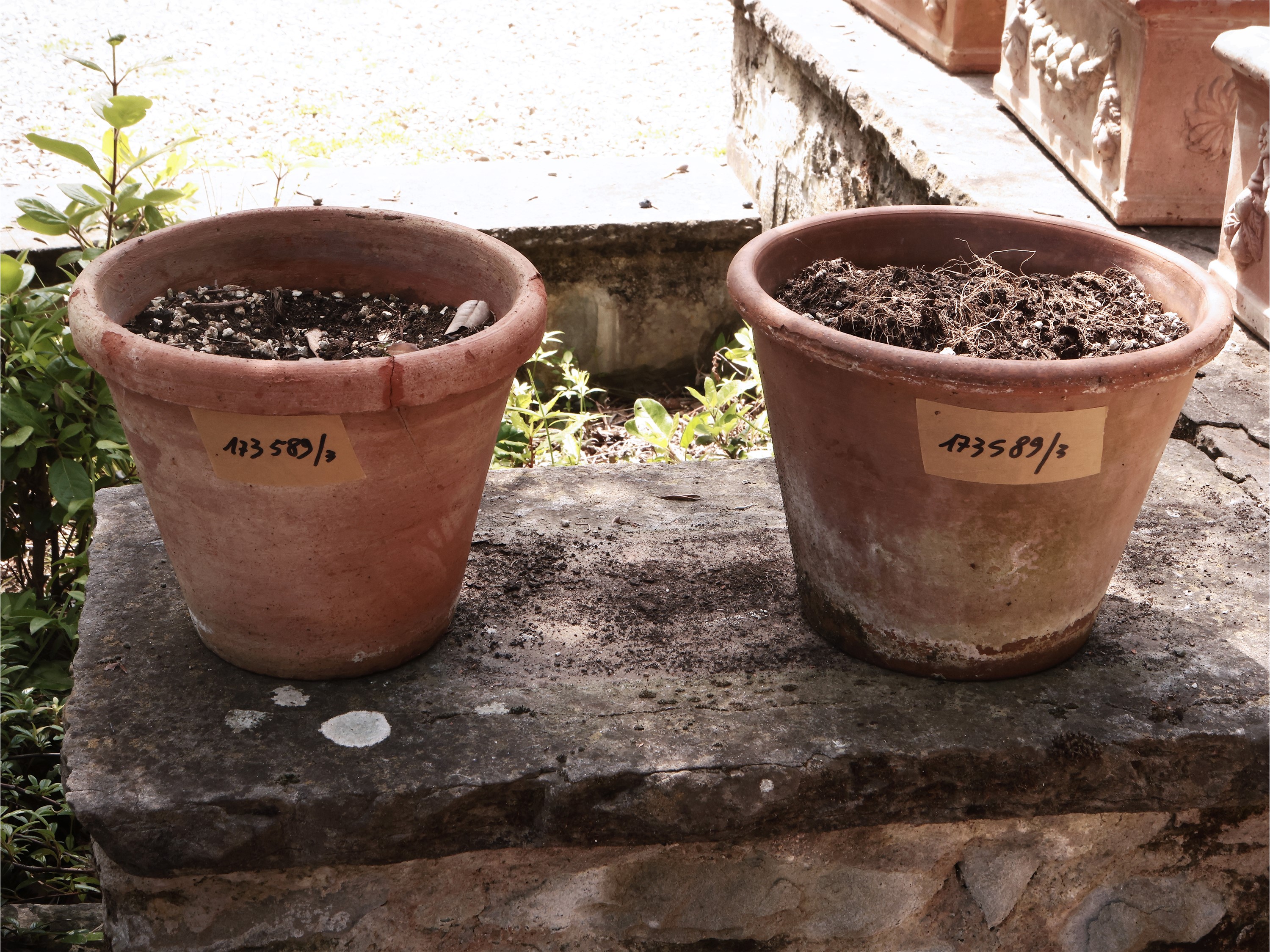 Tre Vasi in Terracotta di Galestro