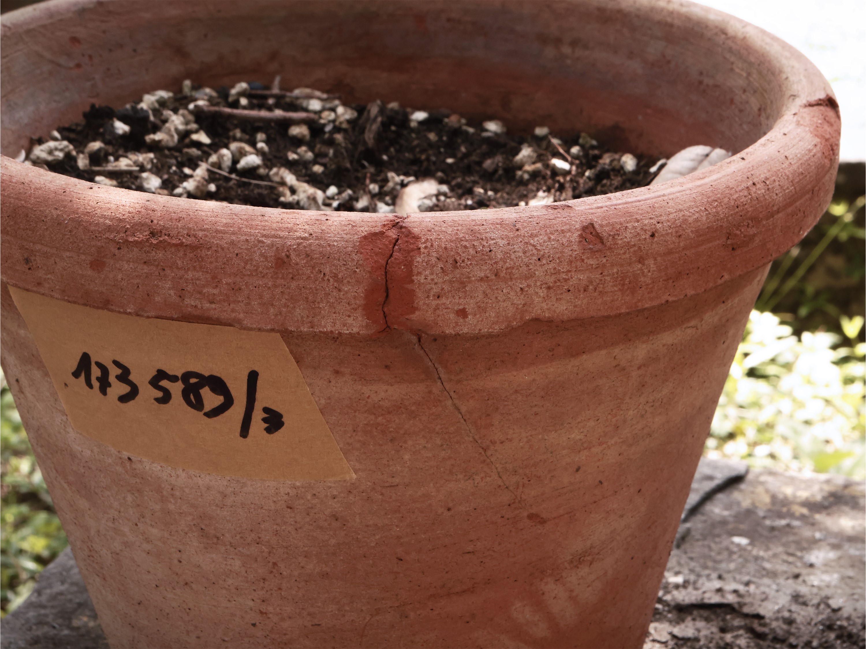 Tre Vasi in Terracotta di Galestro