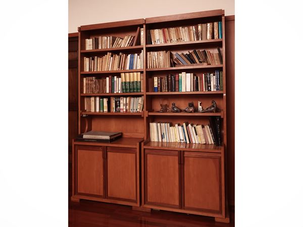 Coppia di librerie di foggia moderna