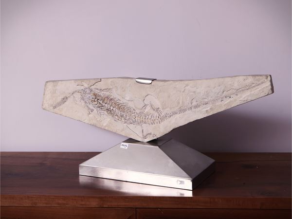 Rettile fossile su matrice