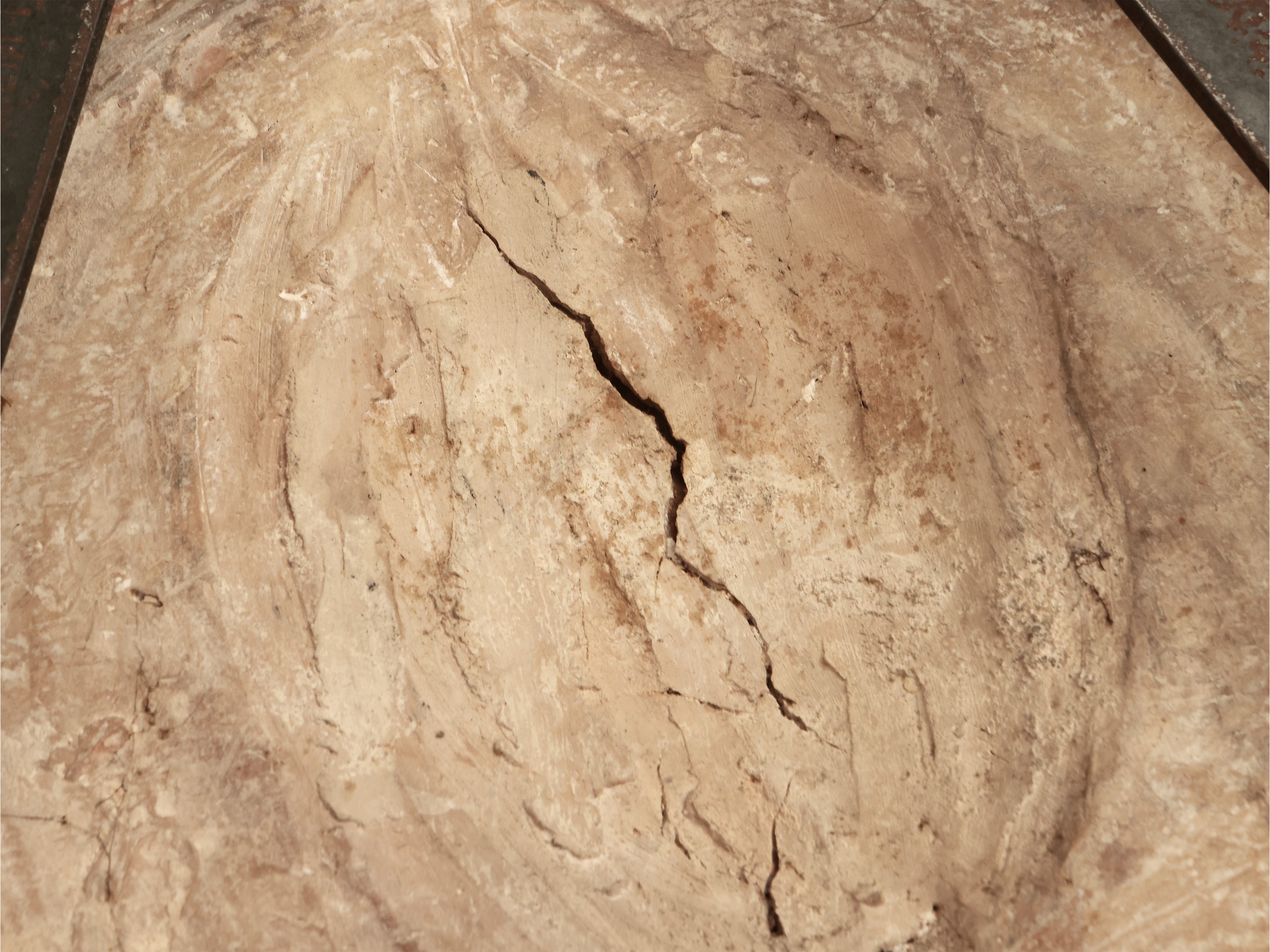 Stemma gentilizio con tenaglie e bue nero entro ghirlanda di frutti e foglie