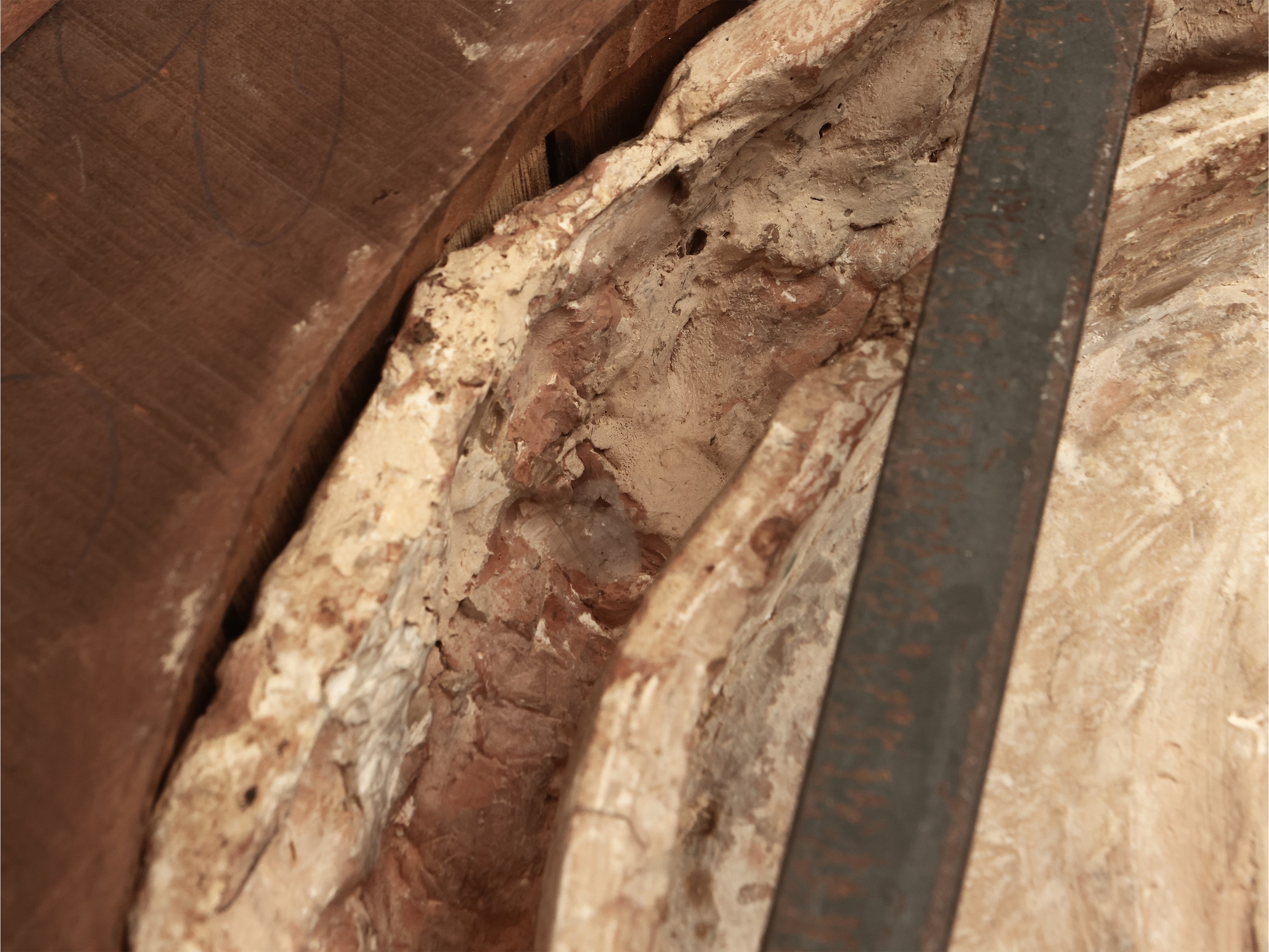 Stemma gentilizio con tenaglie e bue nero entro ghirlanda di frutti e foglie