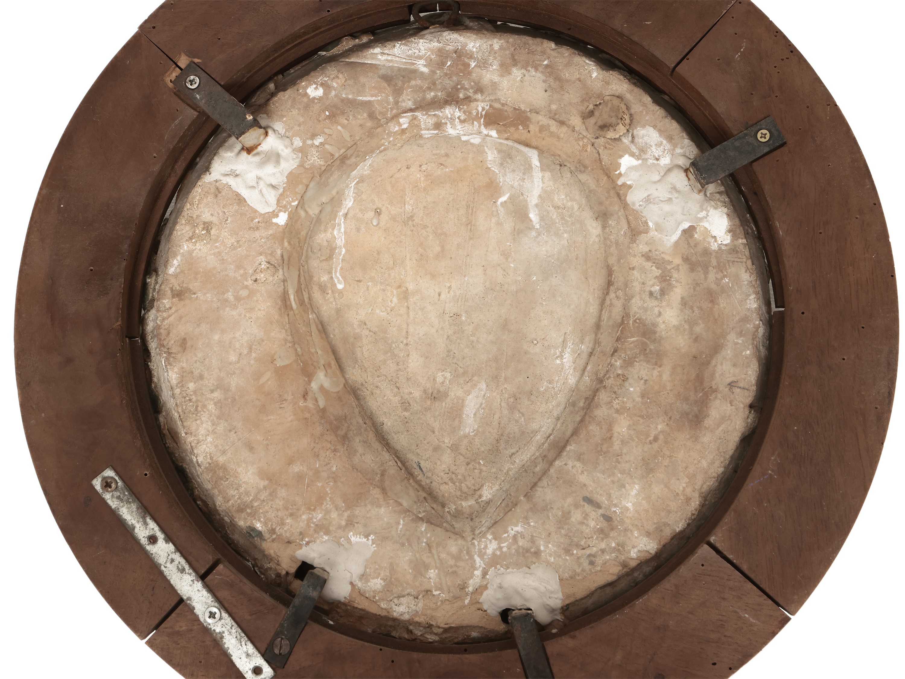 Stemma gentilizio con leone rampante e stella a otto punte