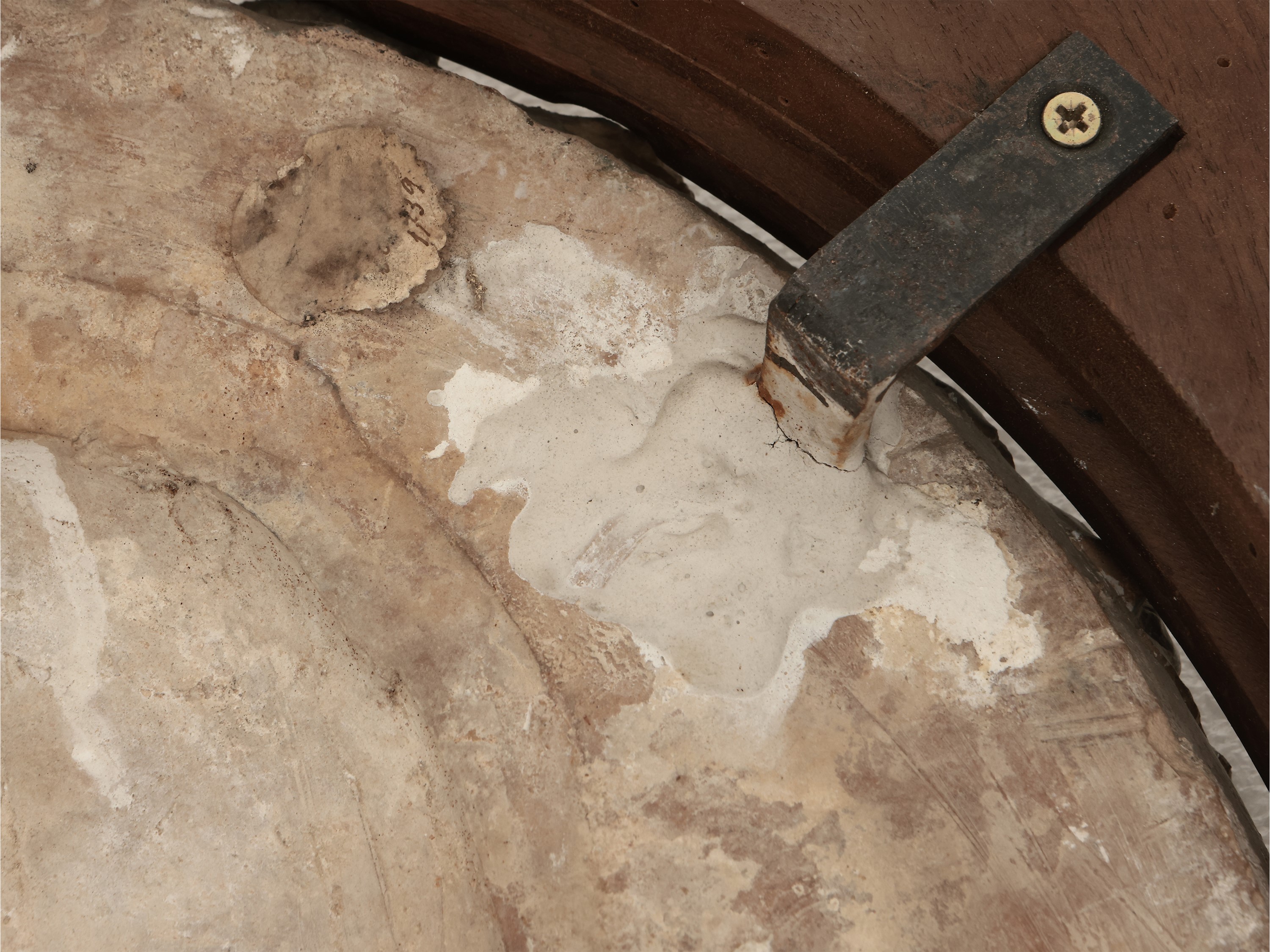 Stemma gentilizio con leone rampante e stella a otto punte