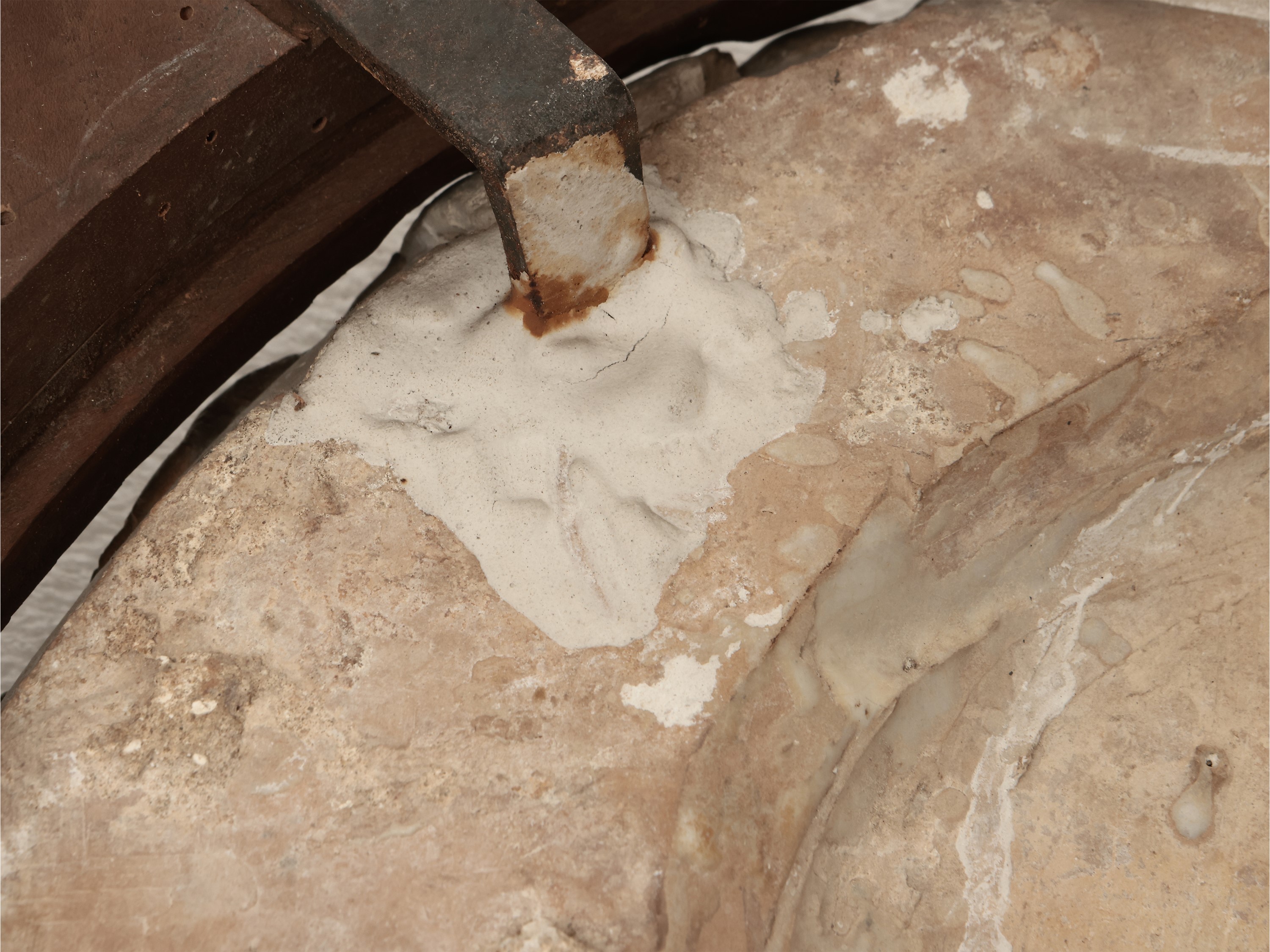 Stemma gentilizio con leone rampante e stella a otto punte