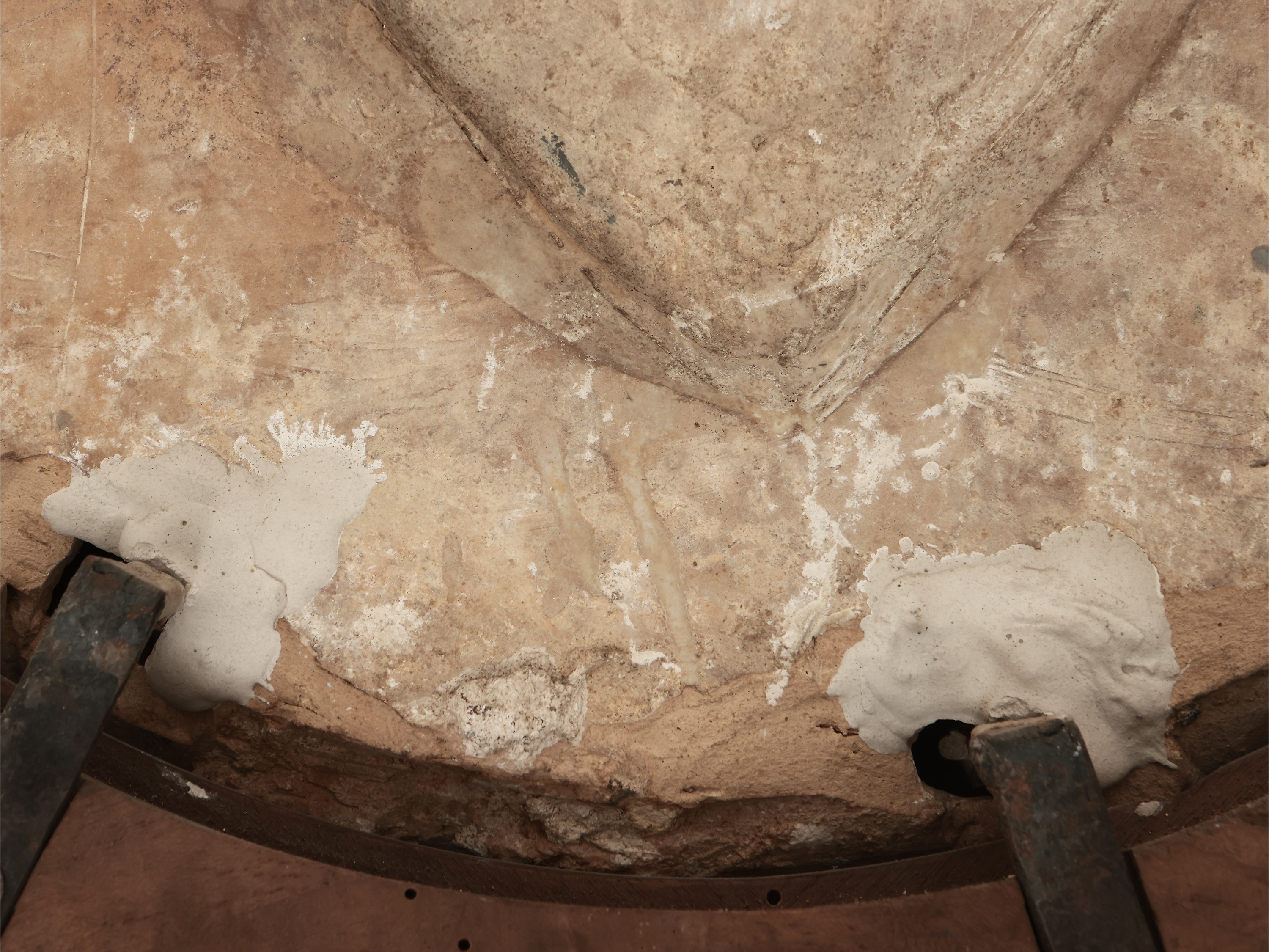 Stemma gentilizio con leone rampante e stella a otto punte