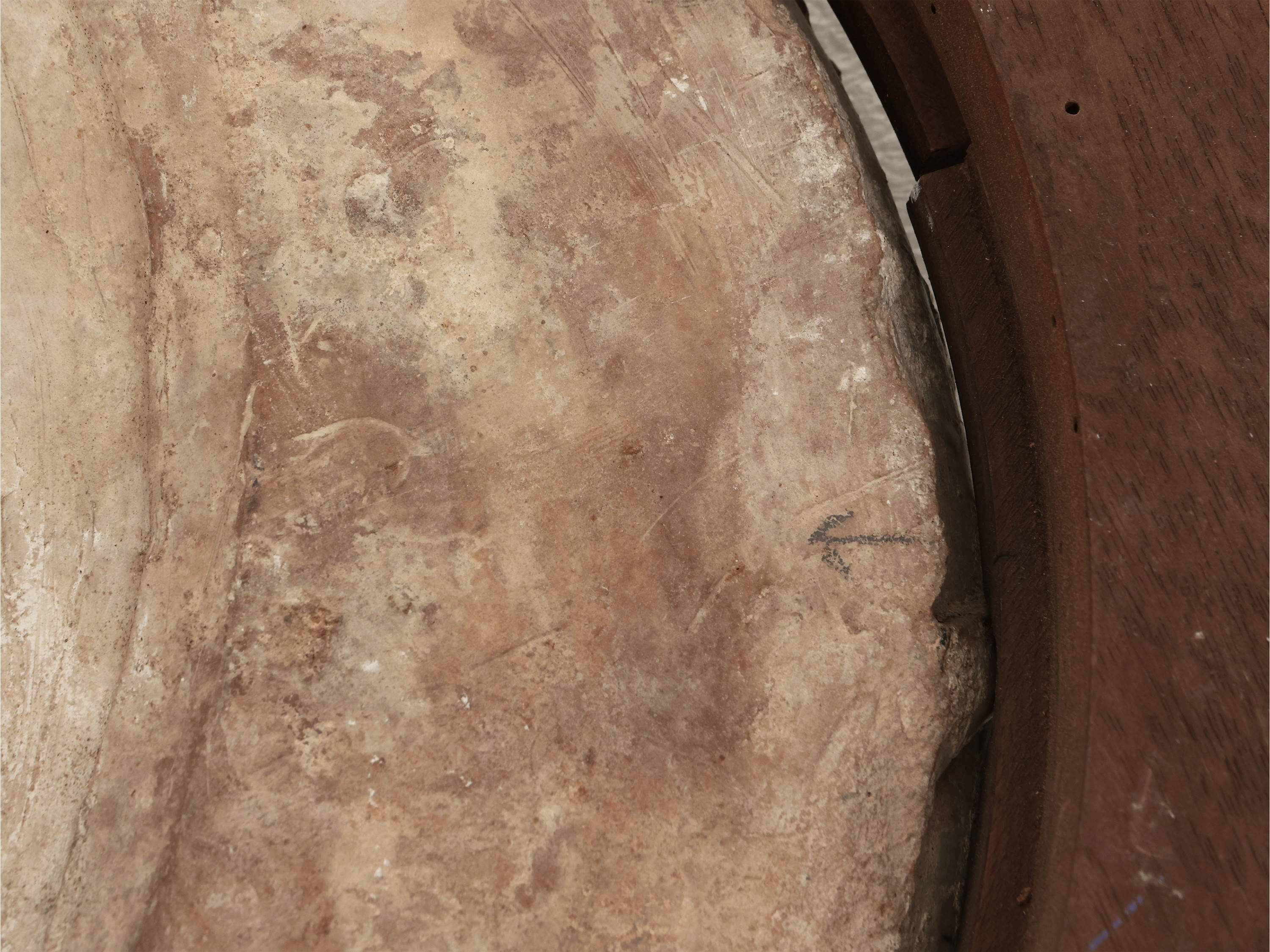 Stemma gentilizio con leone rampante e stella a otto punte