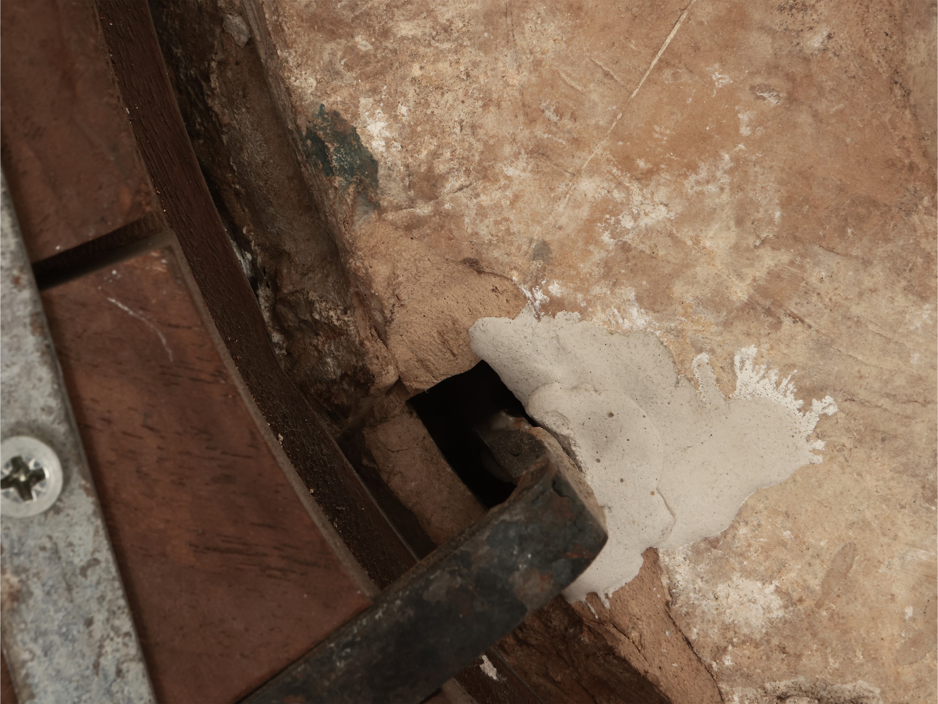 Stemma gentilizio con leone rampante e stella a otto punte