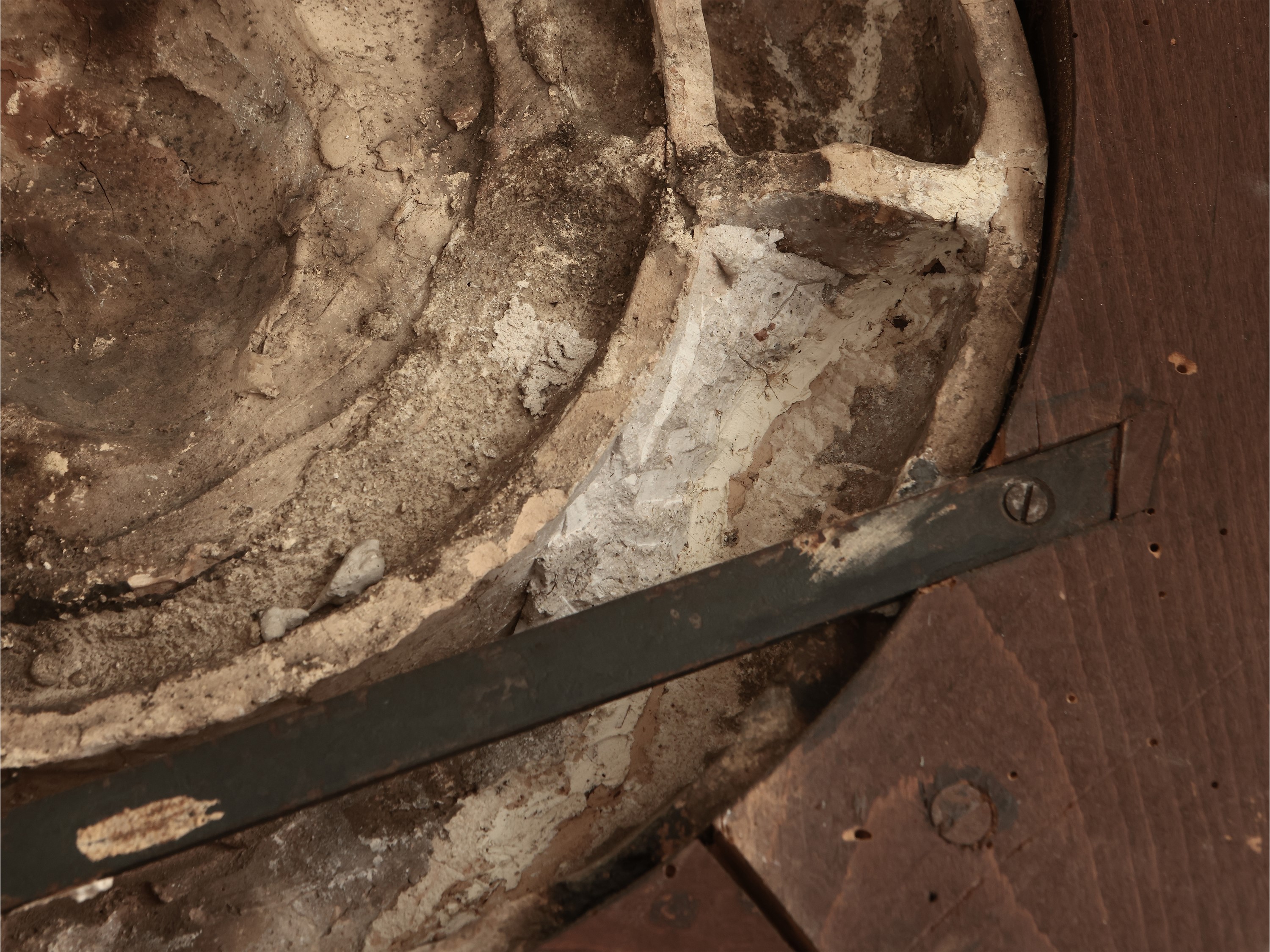 Stemma del Cardinale Giulio de' Medici (poi papa Clemente VII) entro ghirlanda di frutti e foglie