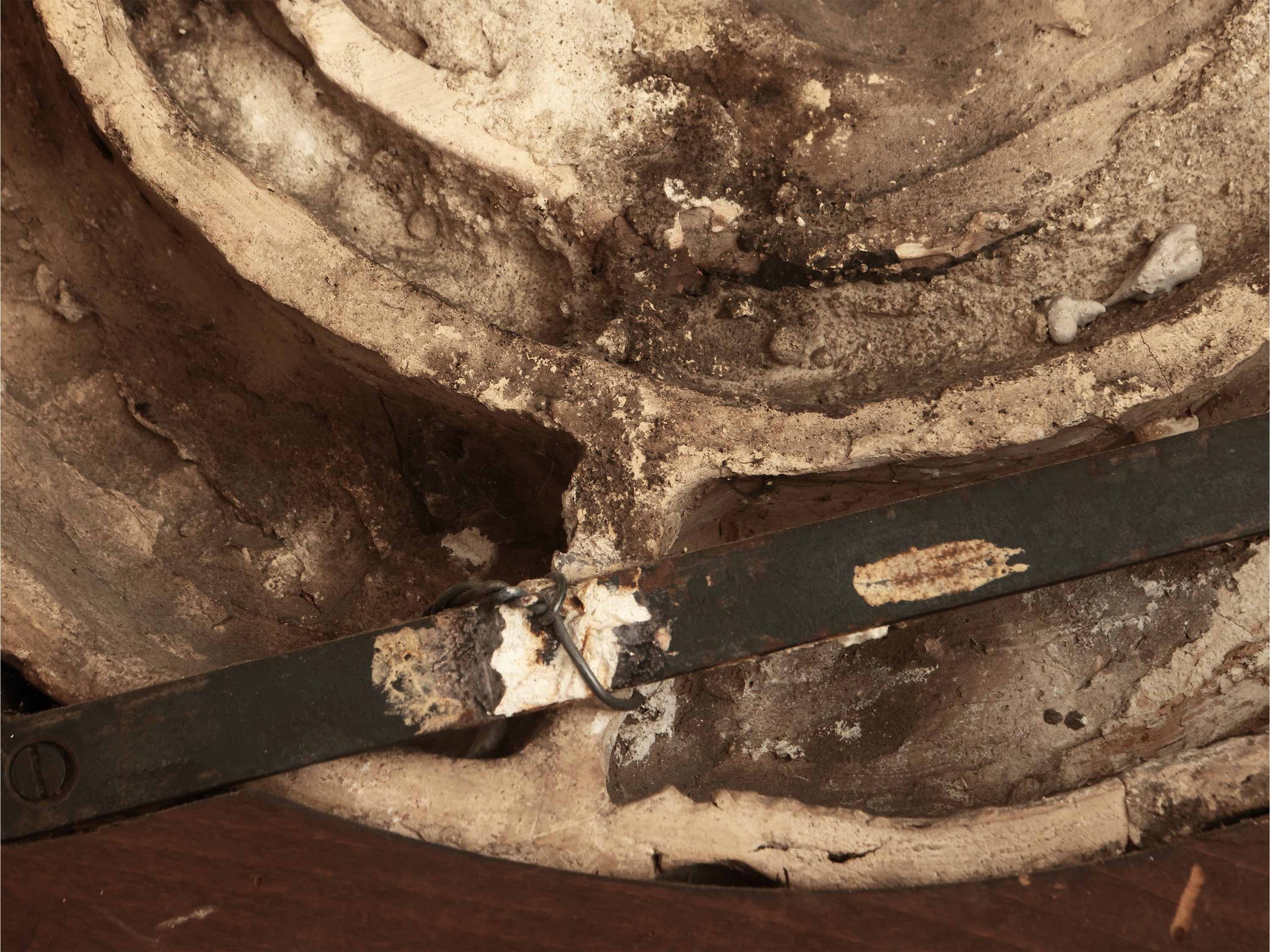 Stemma del Cardinale Giulio de' Medici (poi papa Clemente VII) entro ghirlanda di frutti e foglie