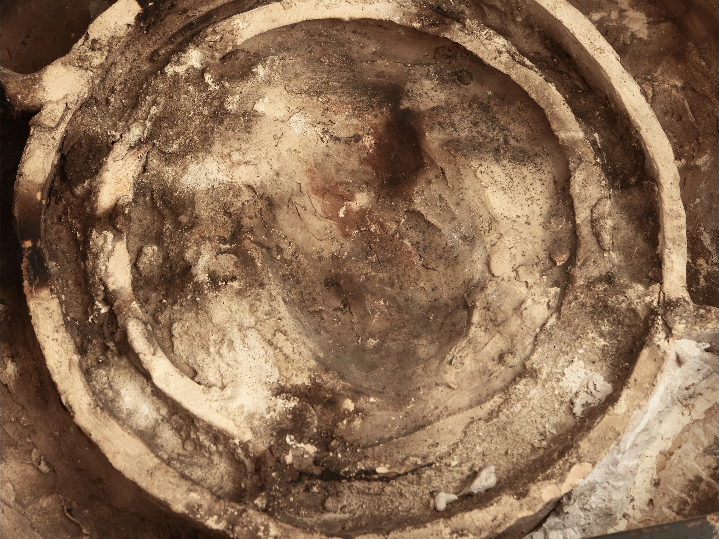 Stemma del Cardinale Giulio de' Medici (poi papa Clemente VII) entro ghirlanda di frutti e foglie