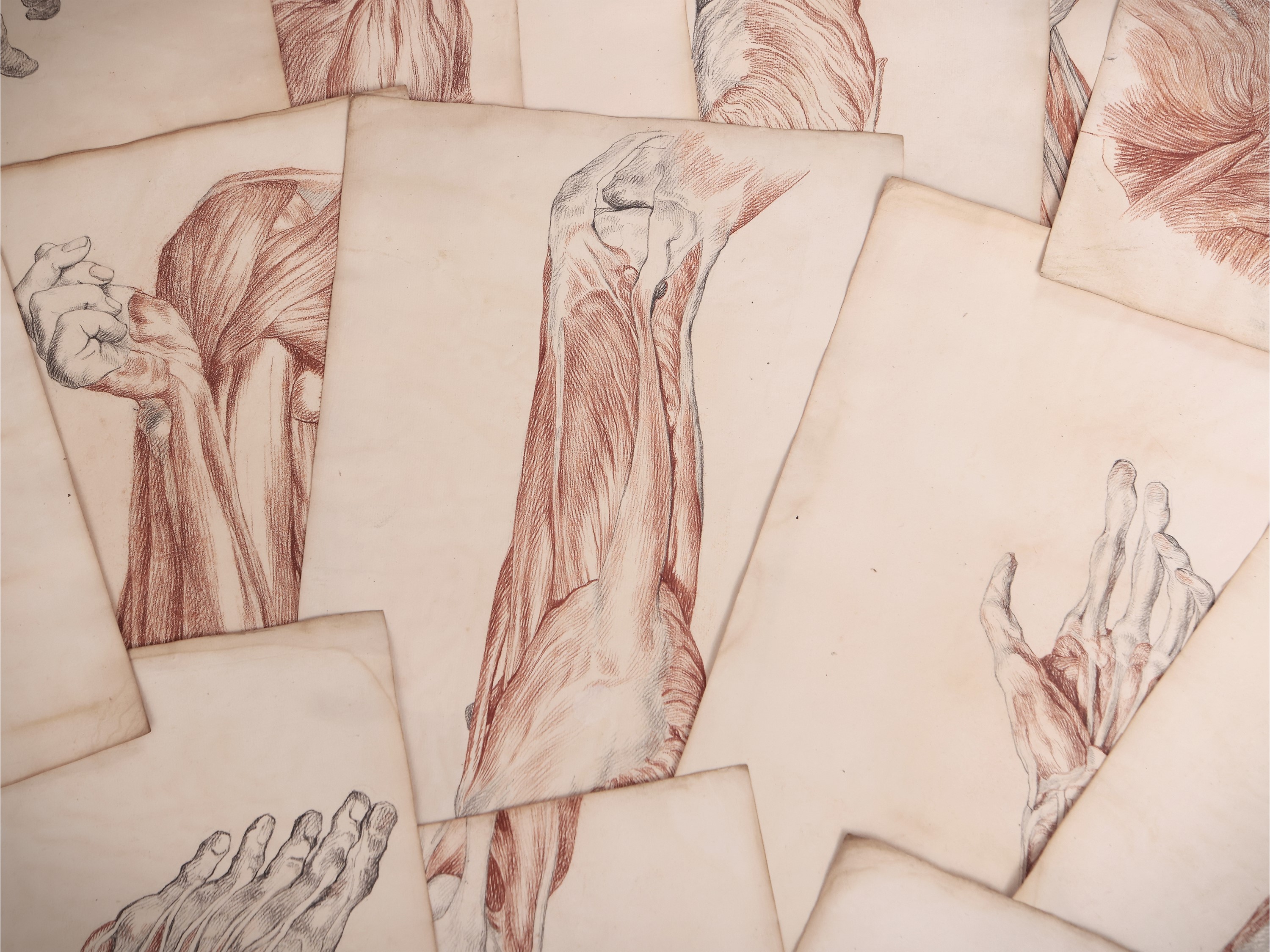 Venti Disegni Accademici