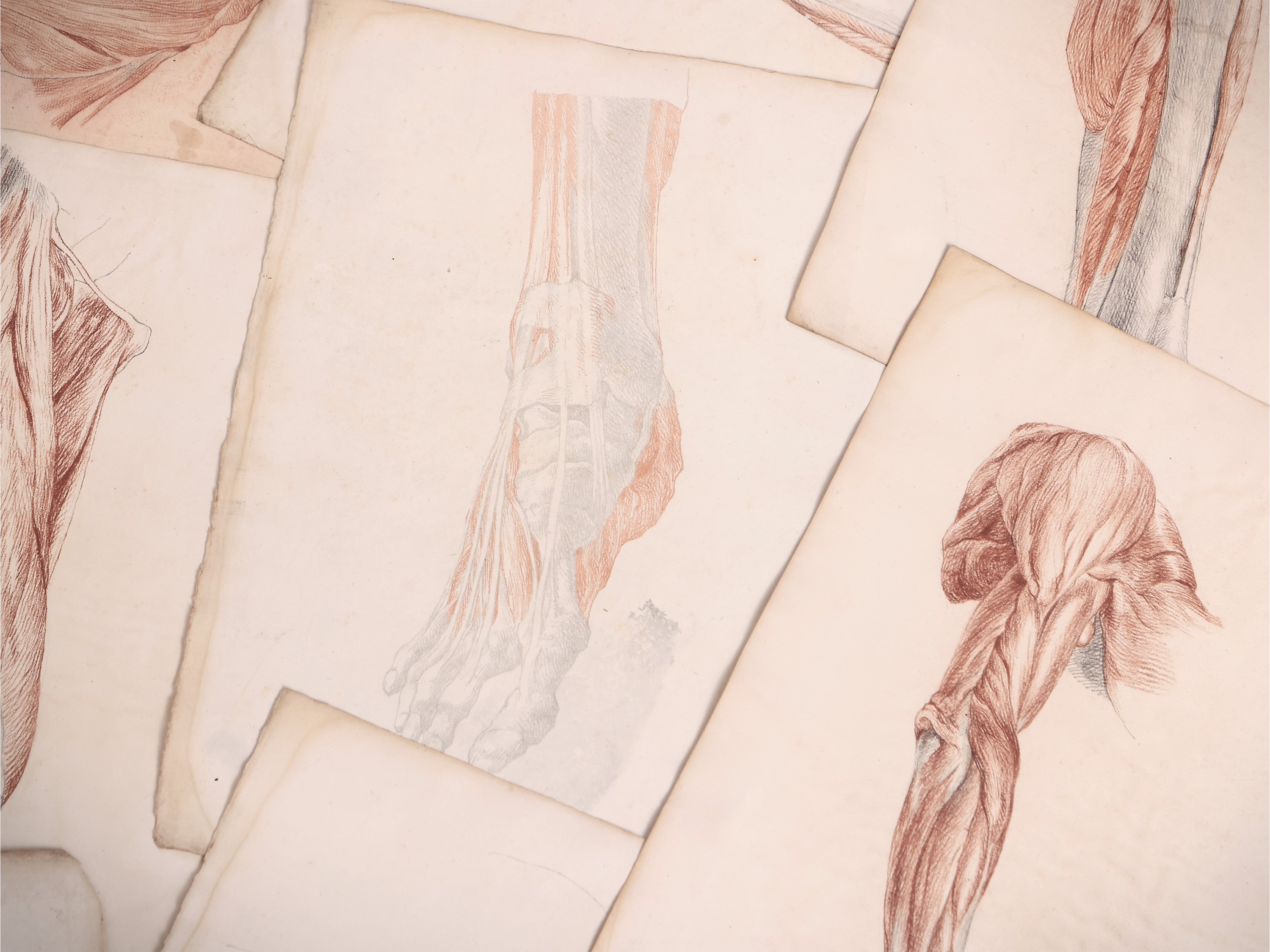 Venti Disegni Accademici