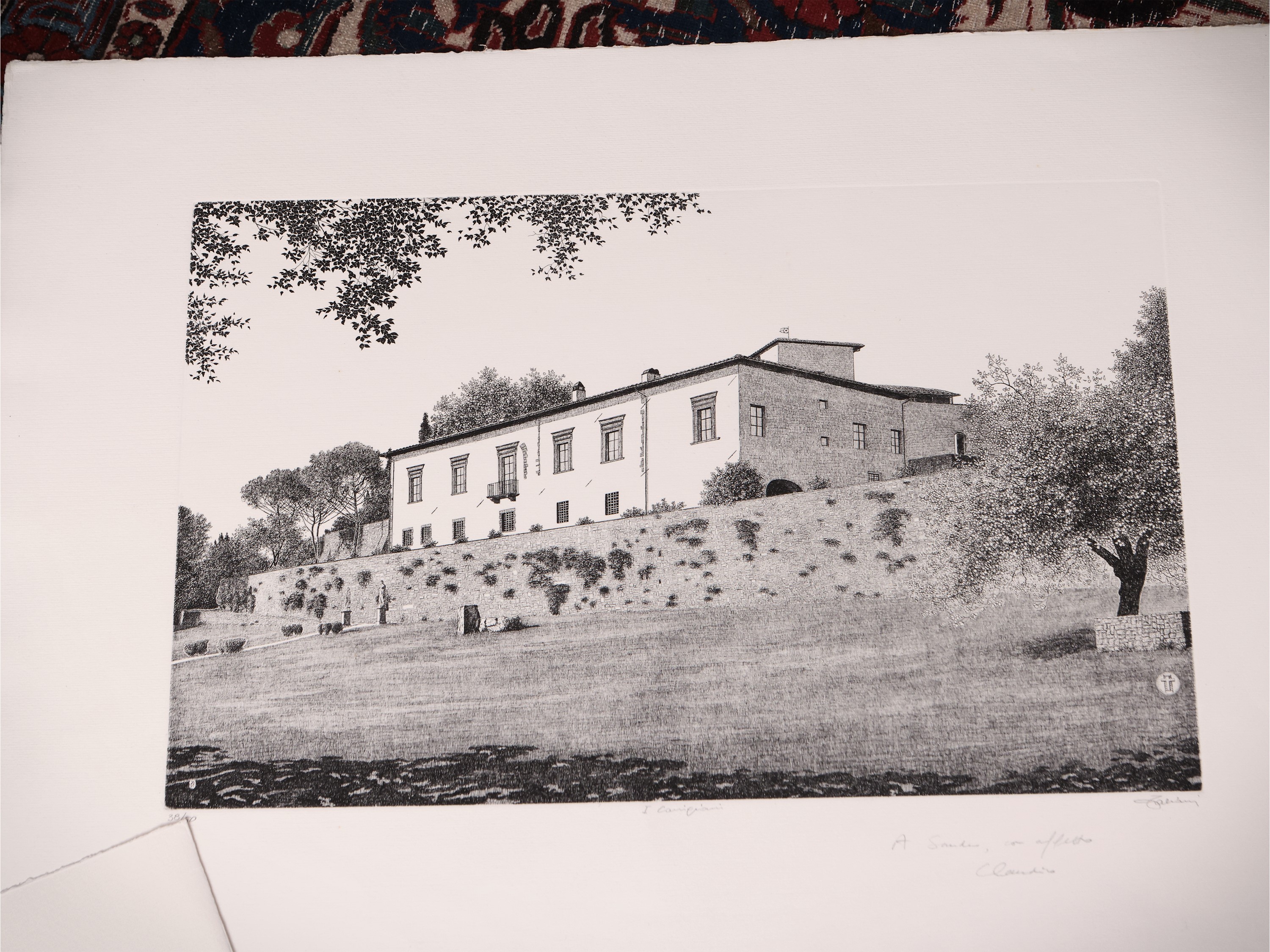 Lotto di Grafica