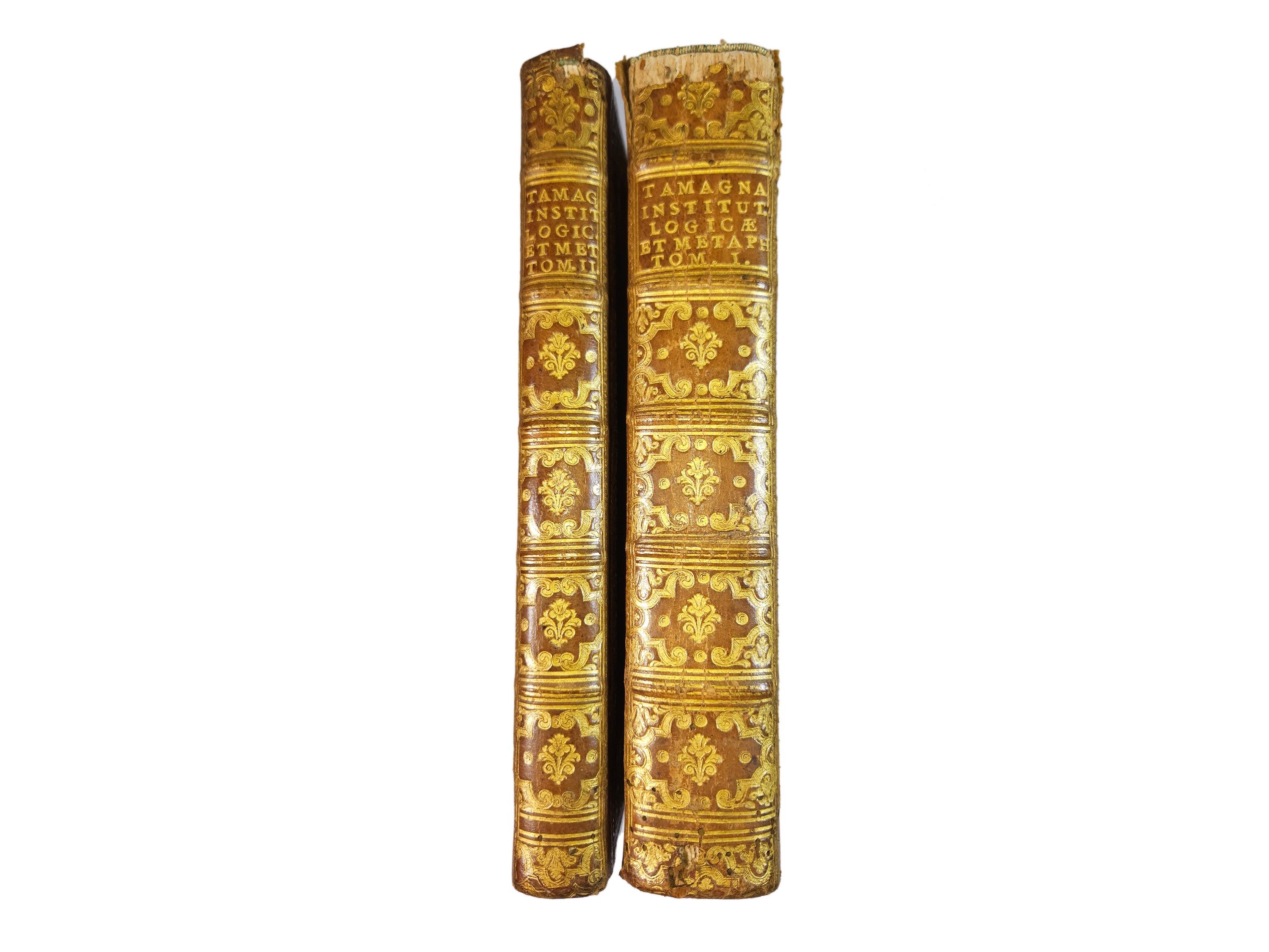 Giuseppe Tamagna - Institutiones Logicae, Et Metaphisicae, in Quibus Divinitas Religionis Christi...
