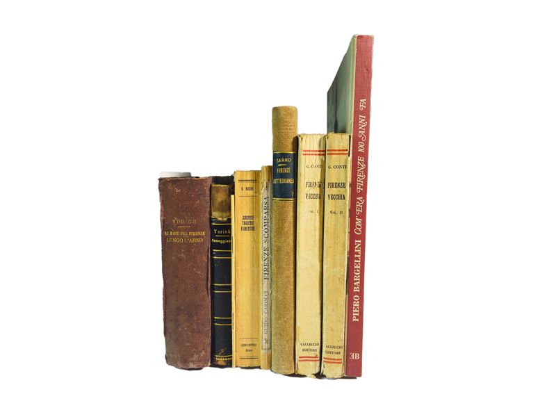 Miscellanea di Libri D’epoca su Firenze