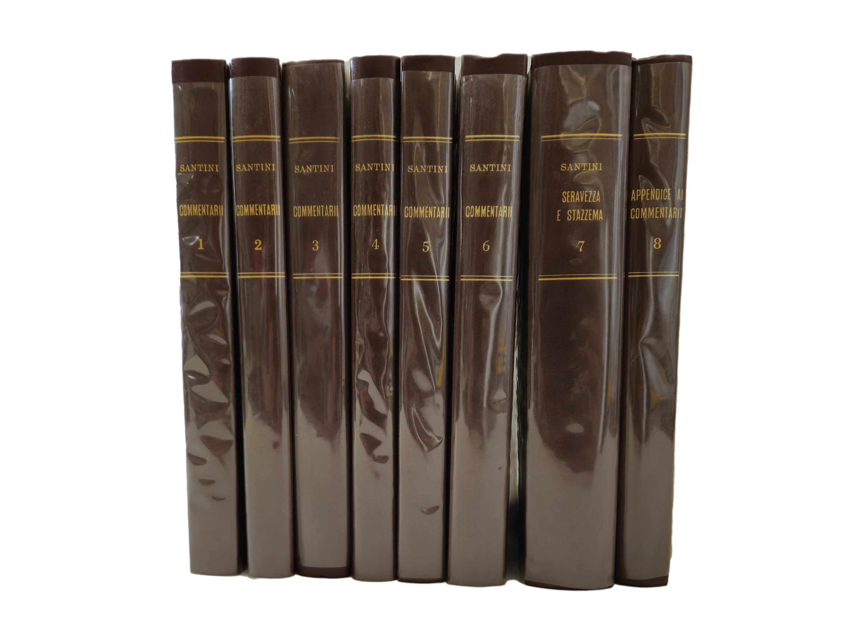 Commentarii storici sulla Versilia Centrale di Vincenzo Santini