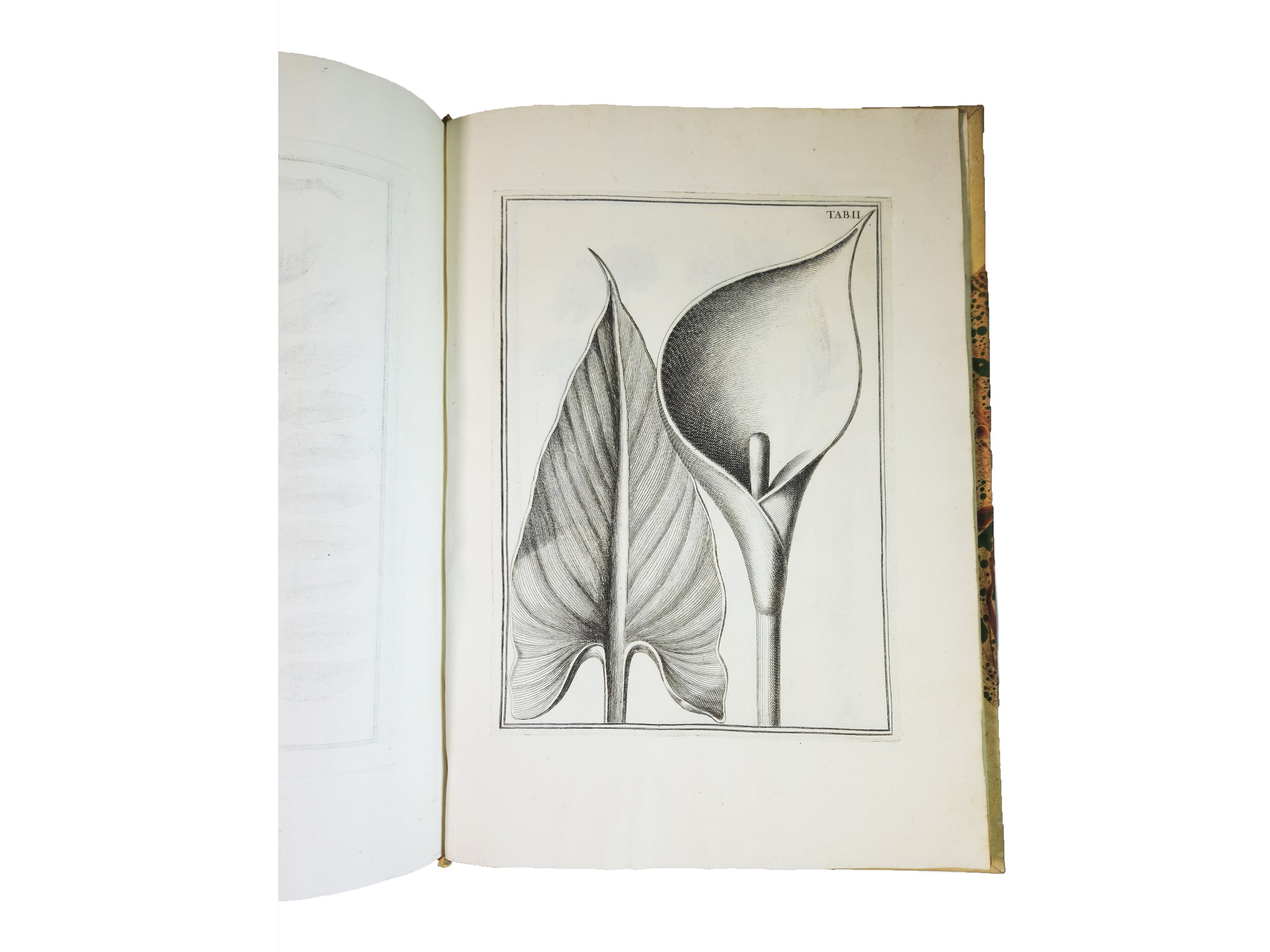 Pier Antonio Micheli - Catalogus Plantarum Horti Caesarei Florentini